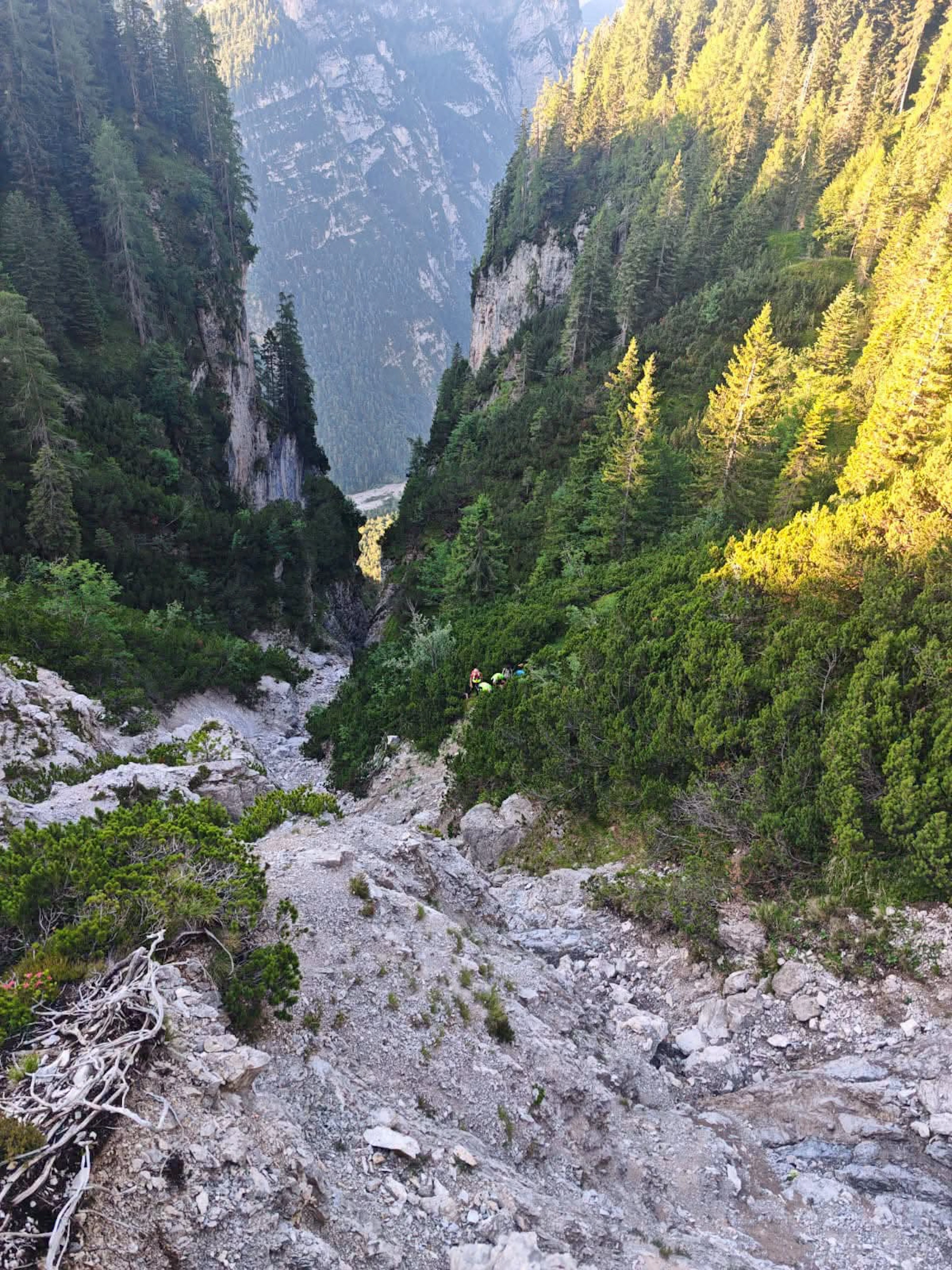 Paar aus Italien überlebt sechs Tage in der Wildnis
