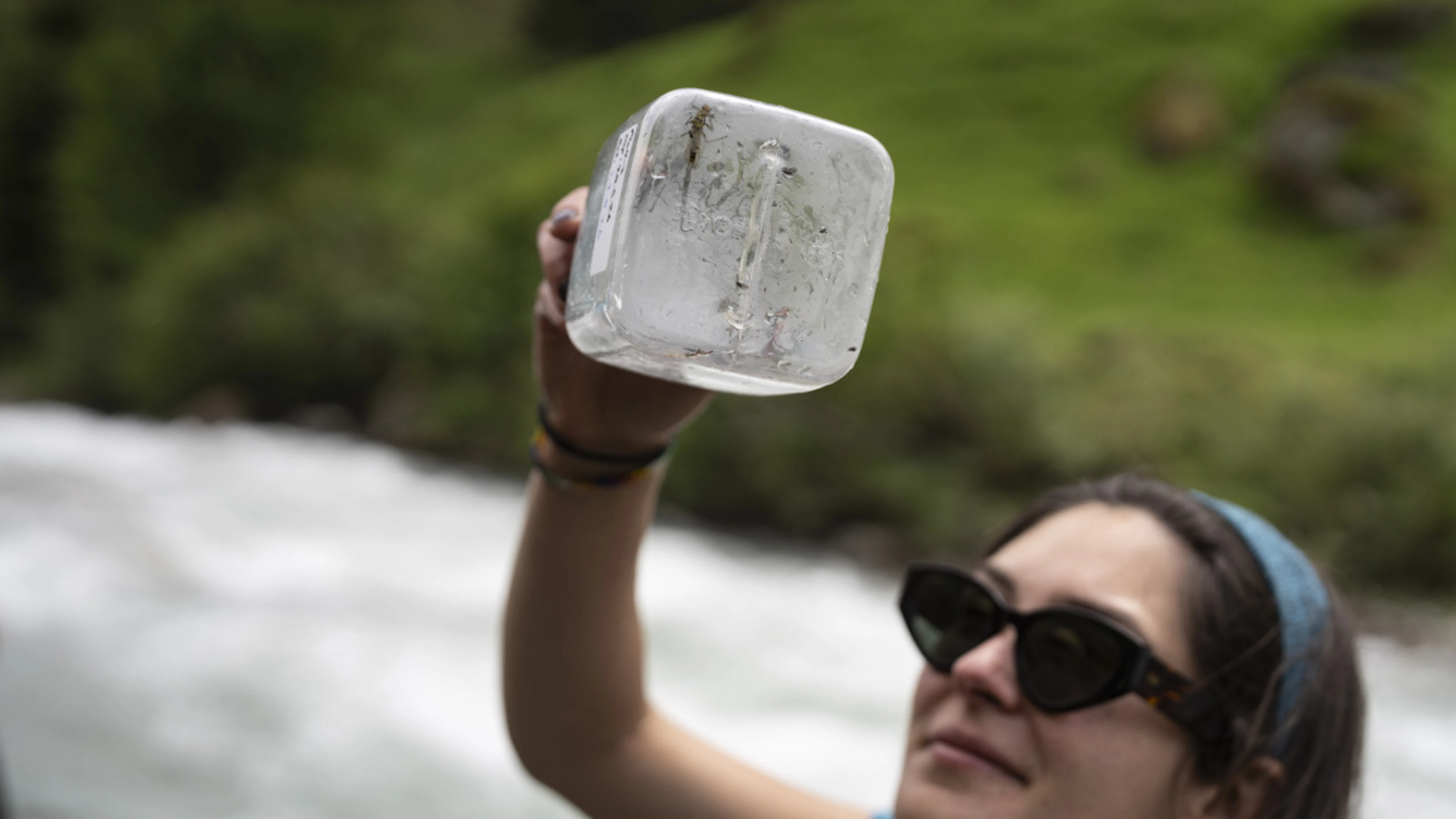 Ecco tutto quello che devi sapere sui PFAS in Svizzera