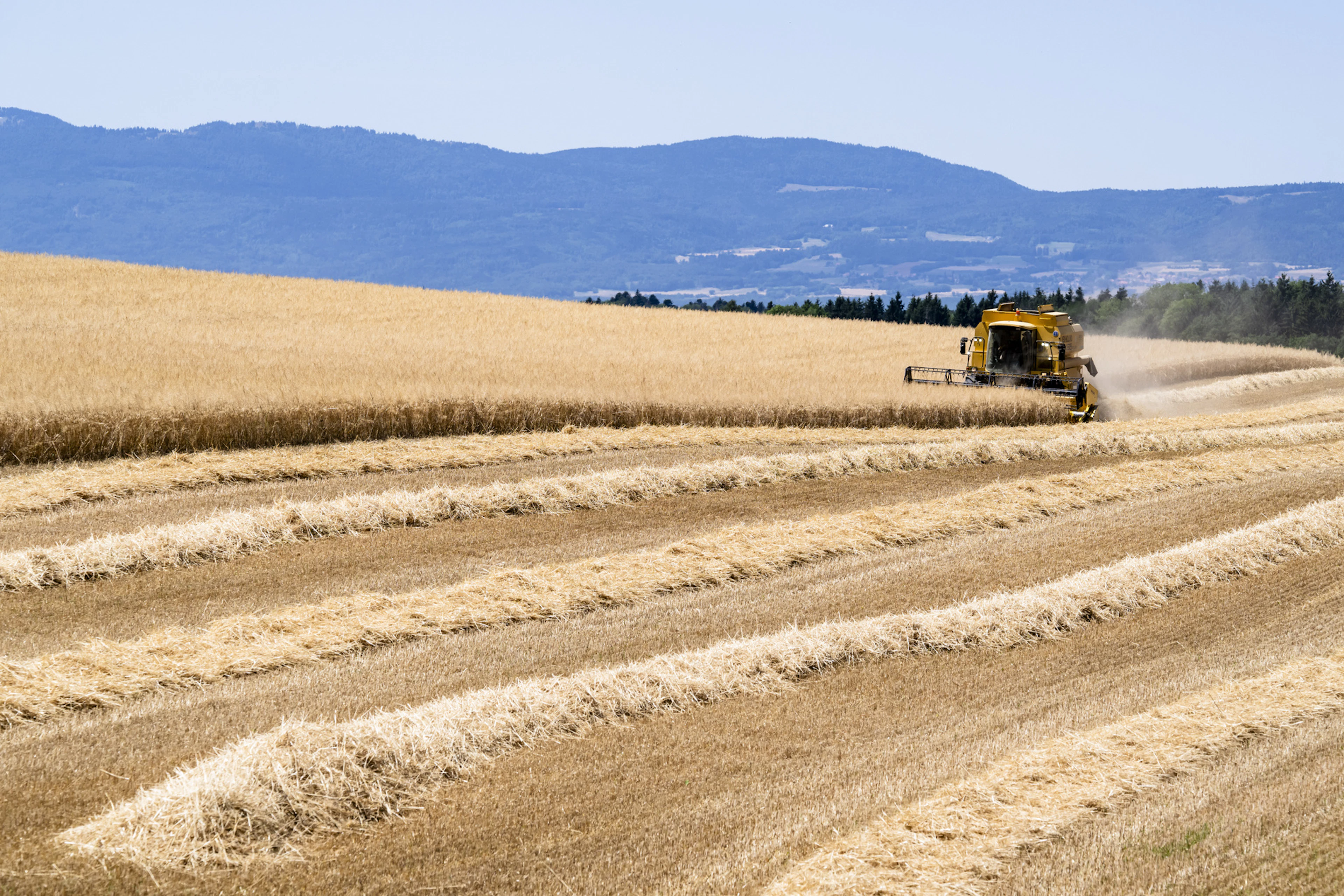 Viele Landwirte klagen über zu wenig Wasser oder müssen bewässern.