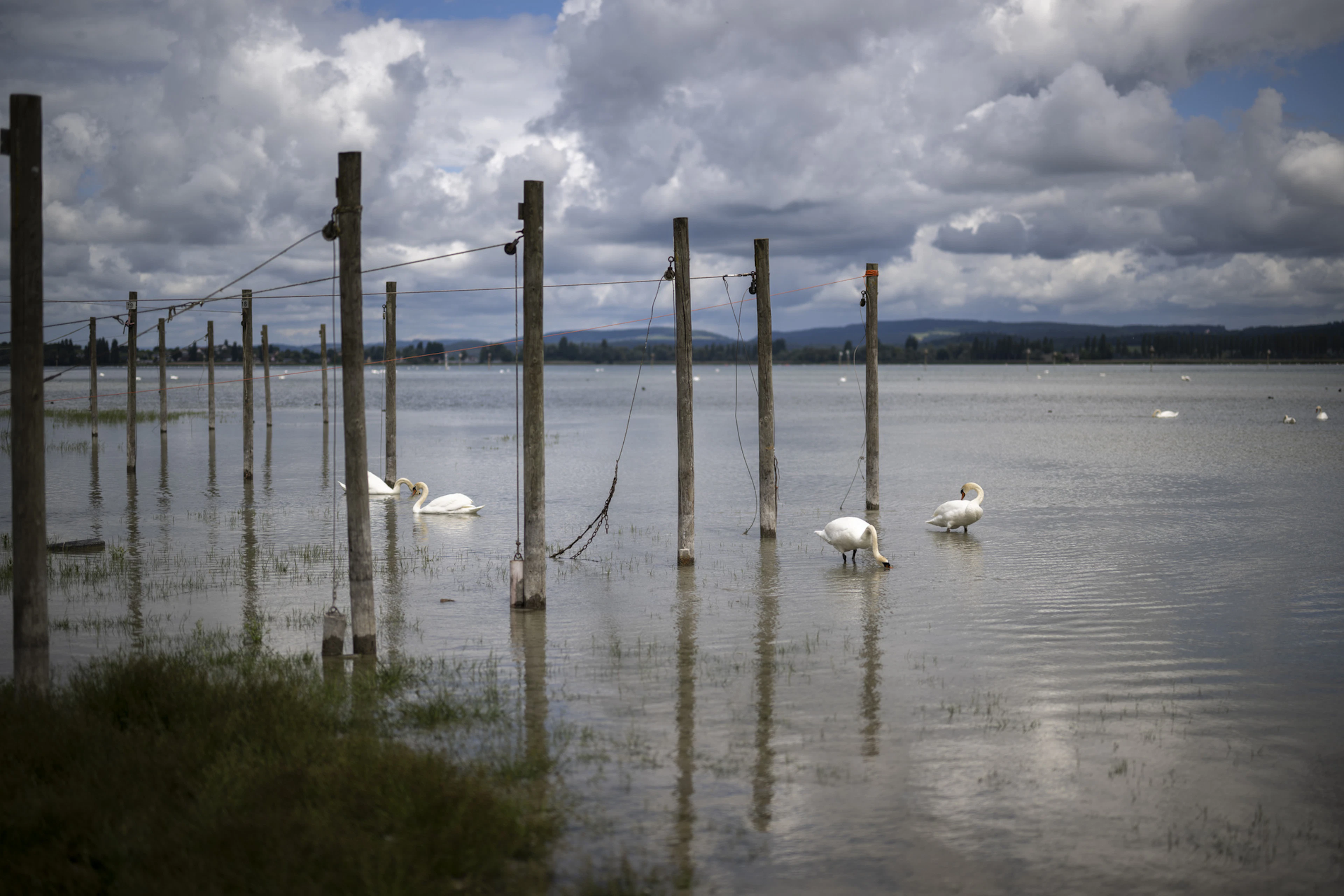 Die Schweiz trocknet aus, viele Flüsse und Seen führen derzeit extrem wenig Wasser.
