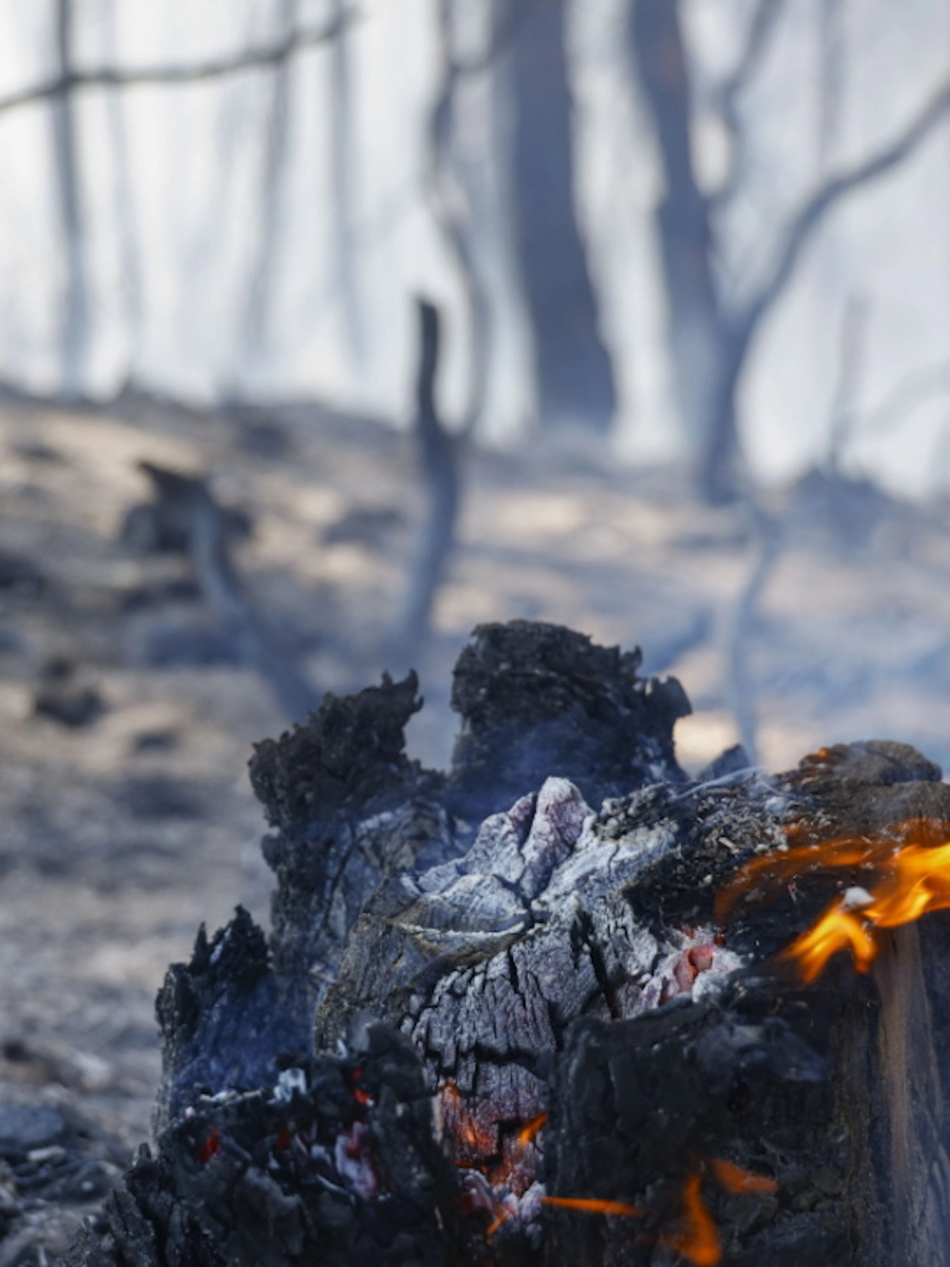Nel 2026 il giugno più caldo per l'Europa occidentale