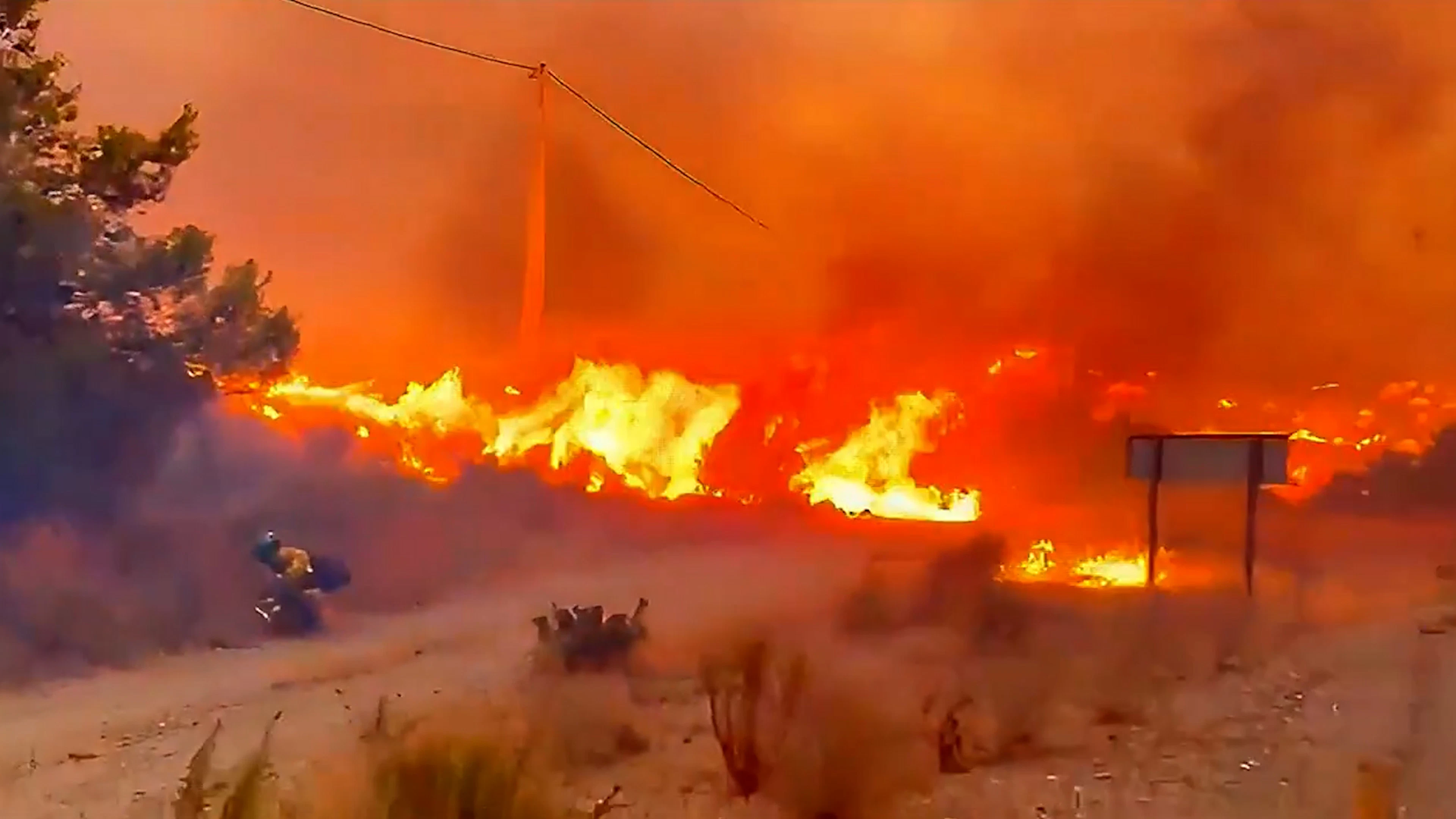 Mindestens zwölf Tote bei Waldbrand in Andalusien