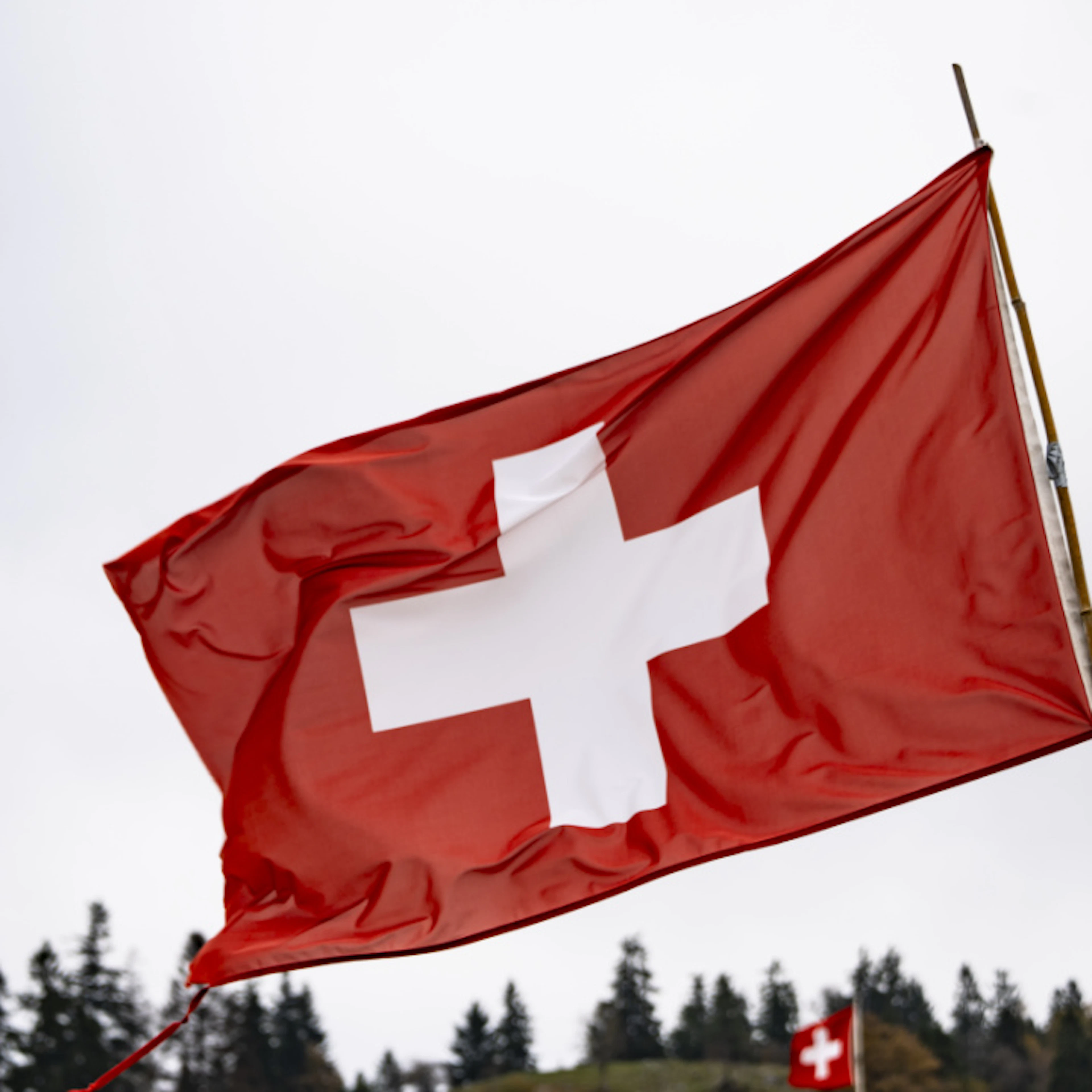 Sicherheit, Natur, Demokratie