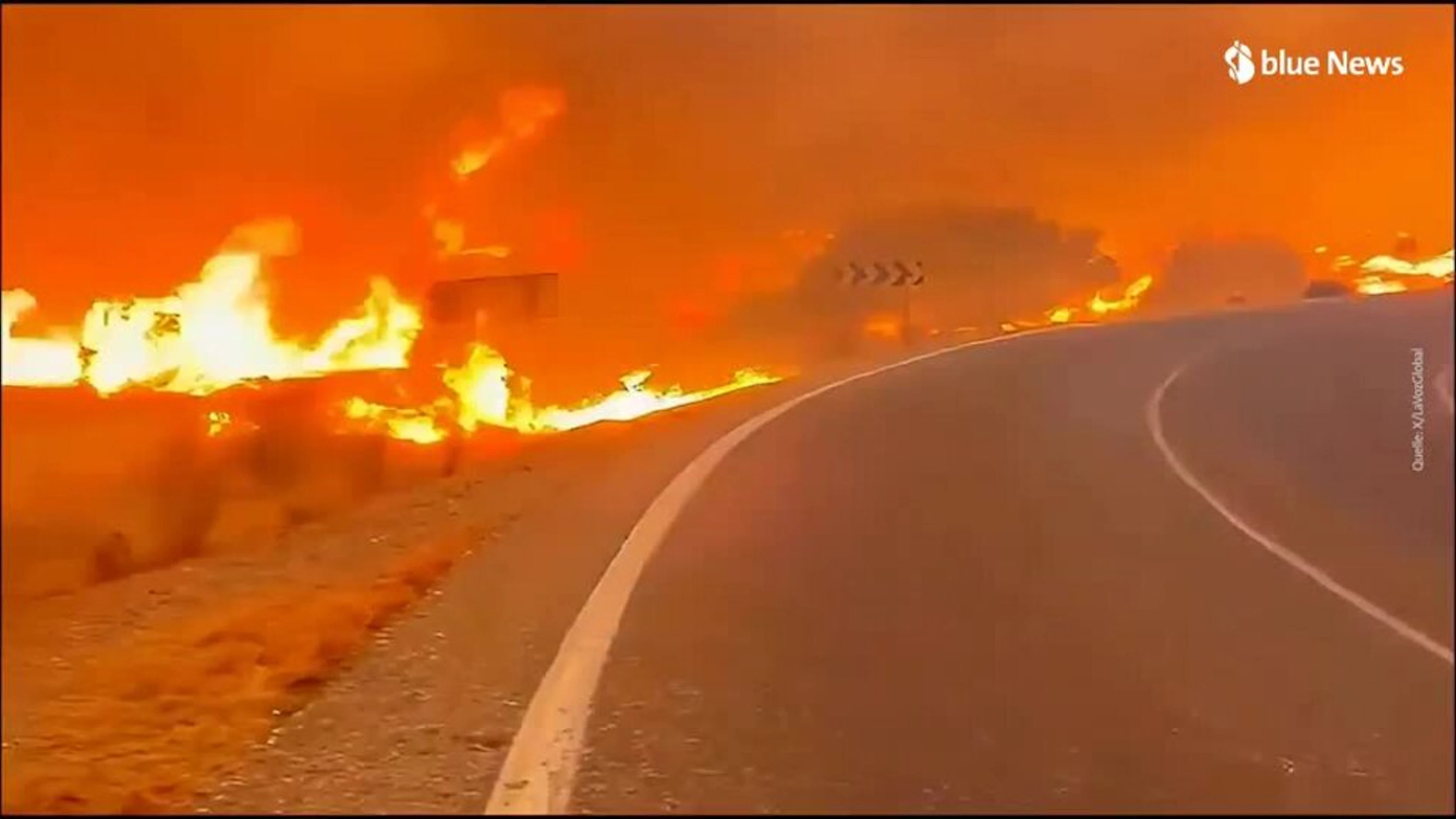 «Der Schmerz ist unermesslich»: Mindestens zwölf Tote bei Waldbrand in Andalusien