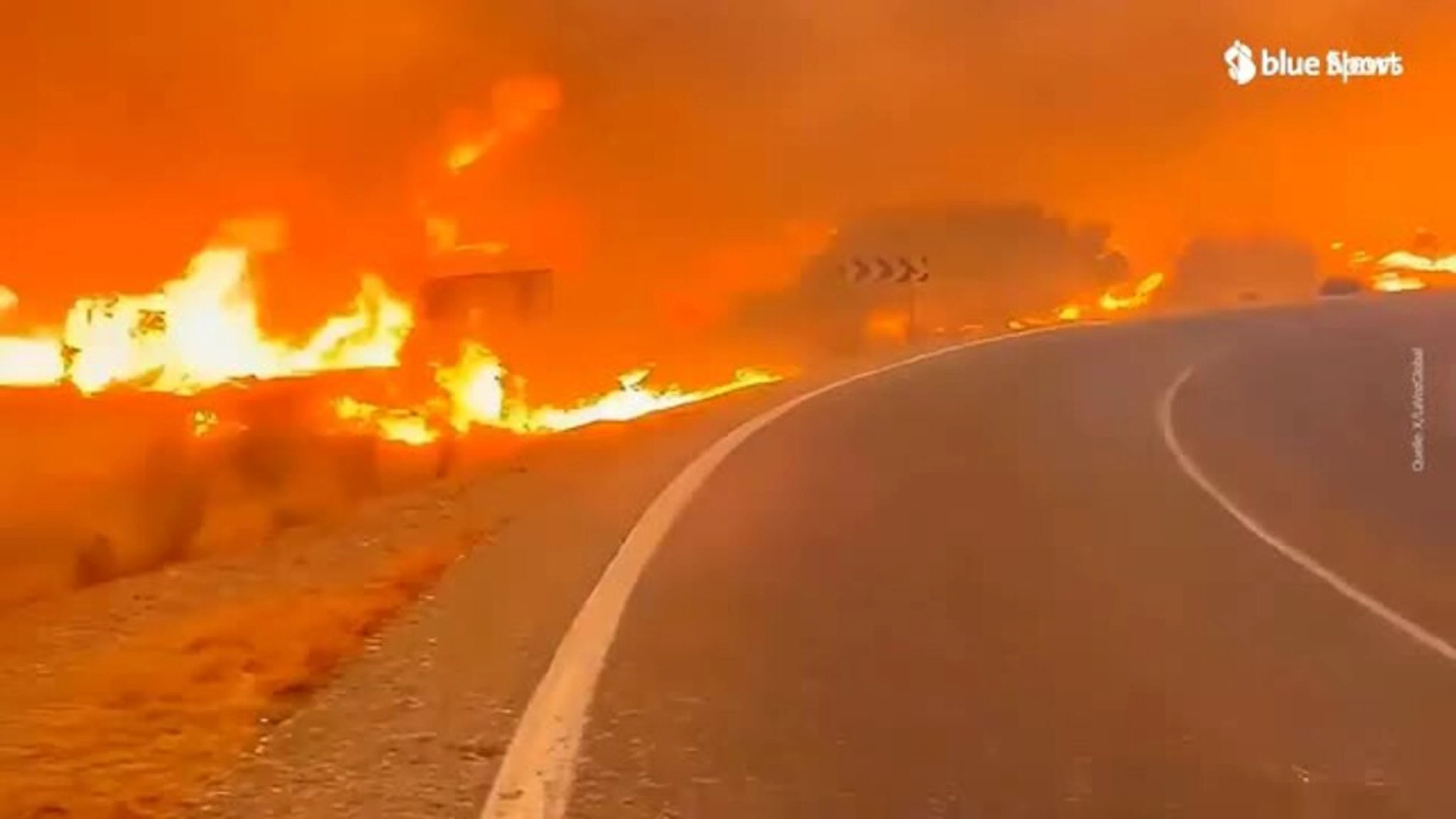 Bosco in fiamme in Andalusia, almeno 12 morti. Alcune vittime trovate all'interno delle proprie auto