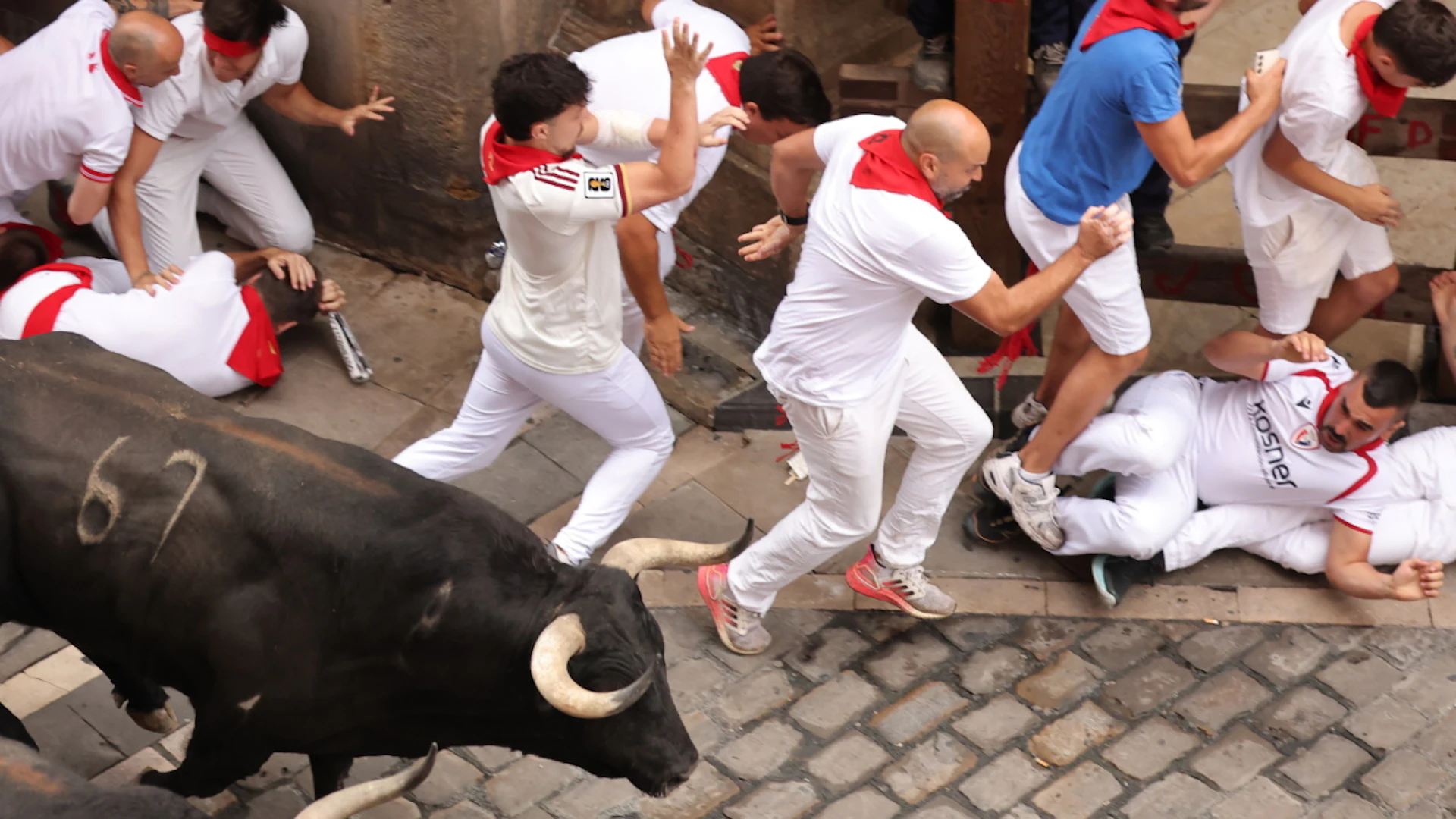 lo scivolamento in curva di alcuni animali ha inoltre provocato numerose cadute tra i partecipanti.