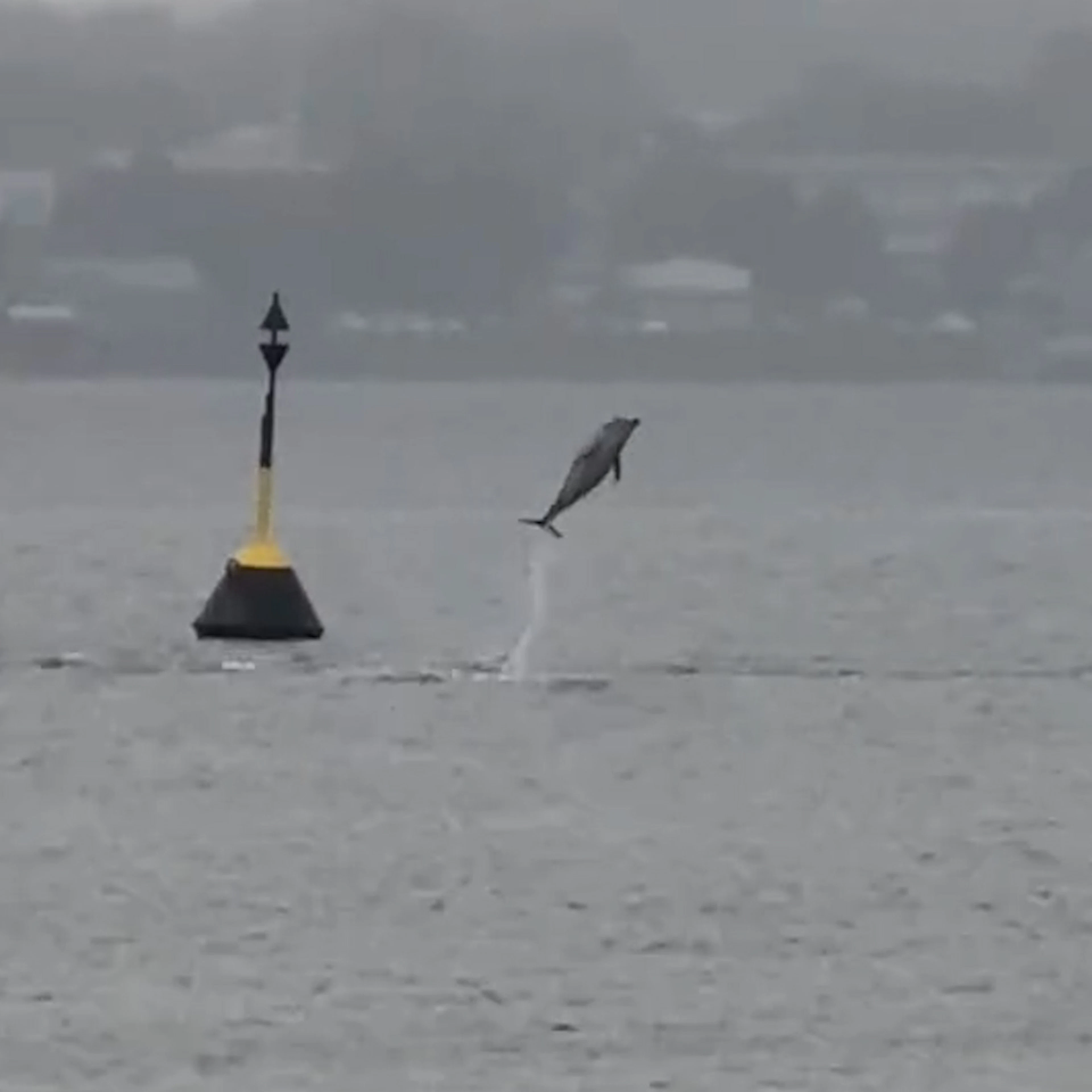 Video in der Ostsee