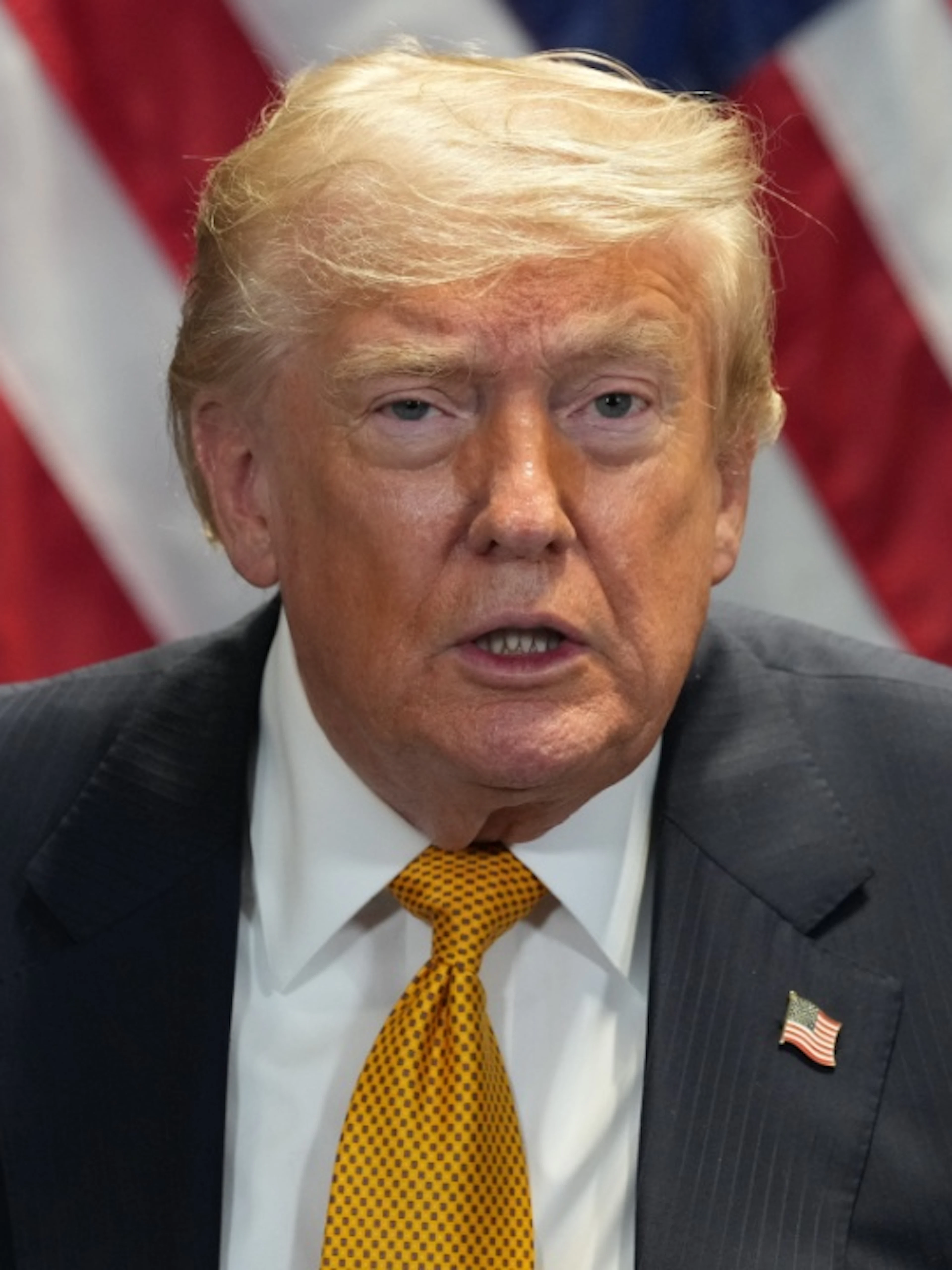Trump drängt Mitglieder aus unabhängiger Wahlkommission