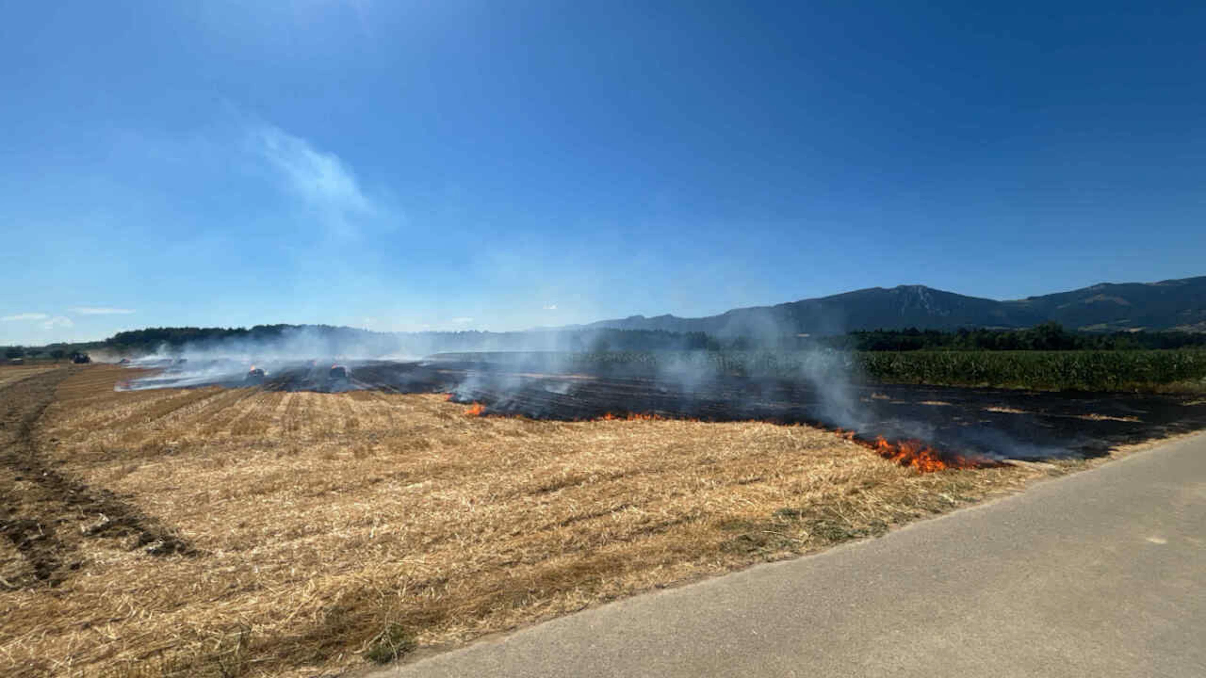 Champ de chaume en feu à Deitingen: 200 ares en fumée