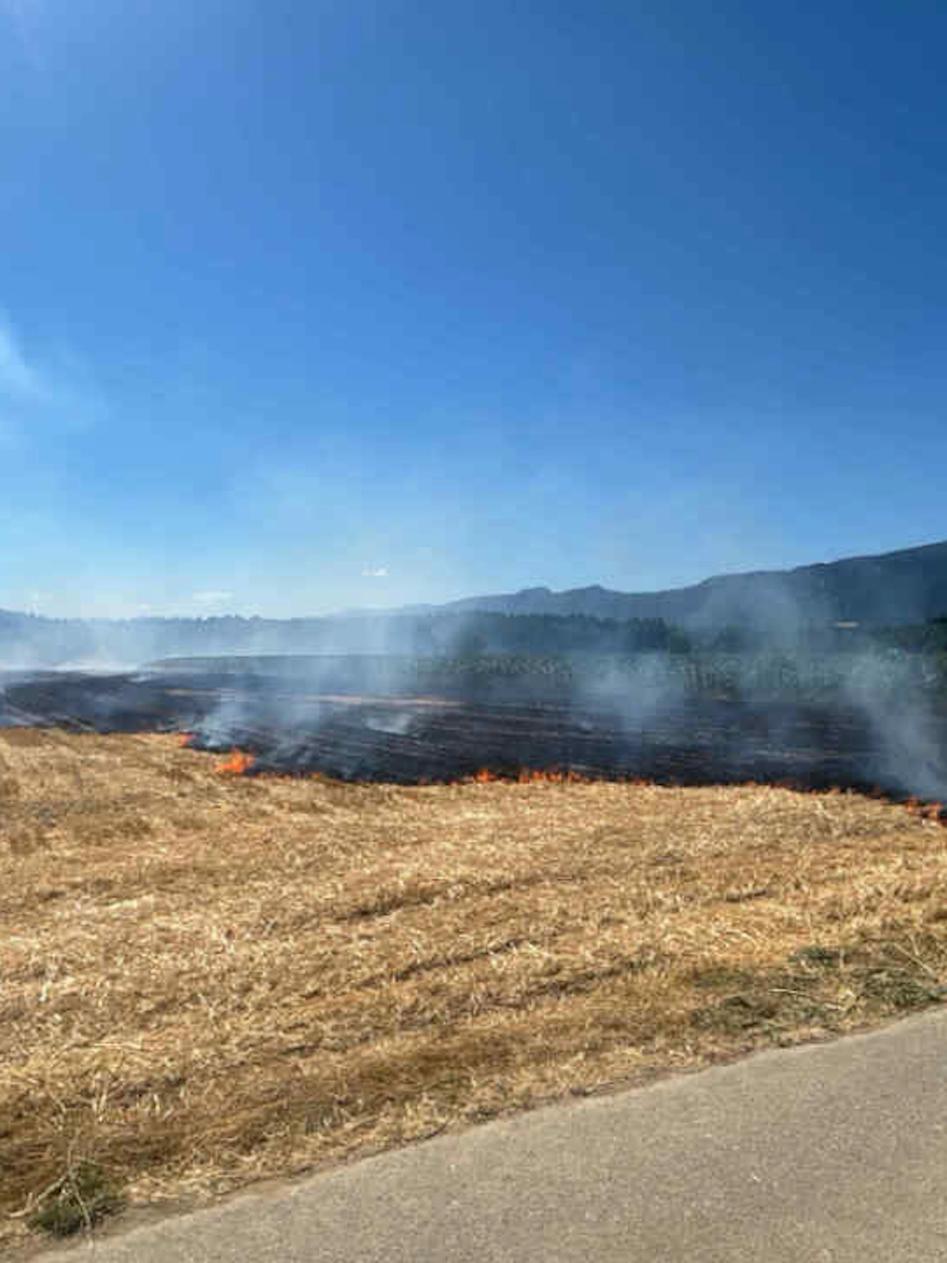 Champ de chaume en feu à Deitingen: 200 ares en fumée