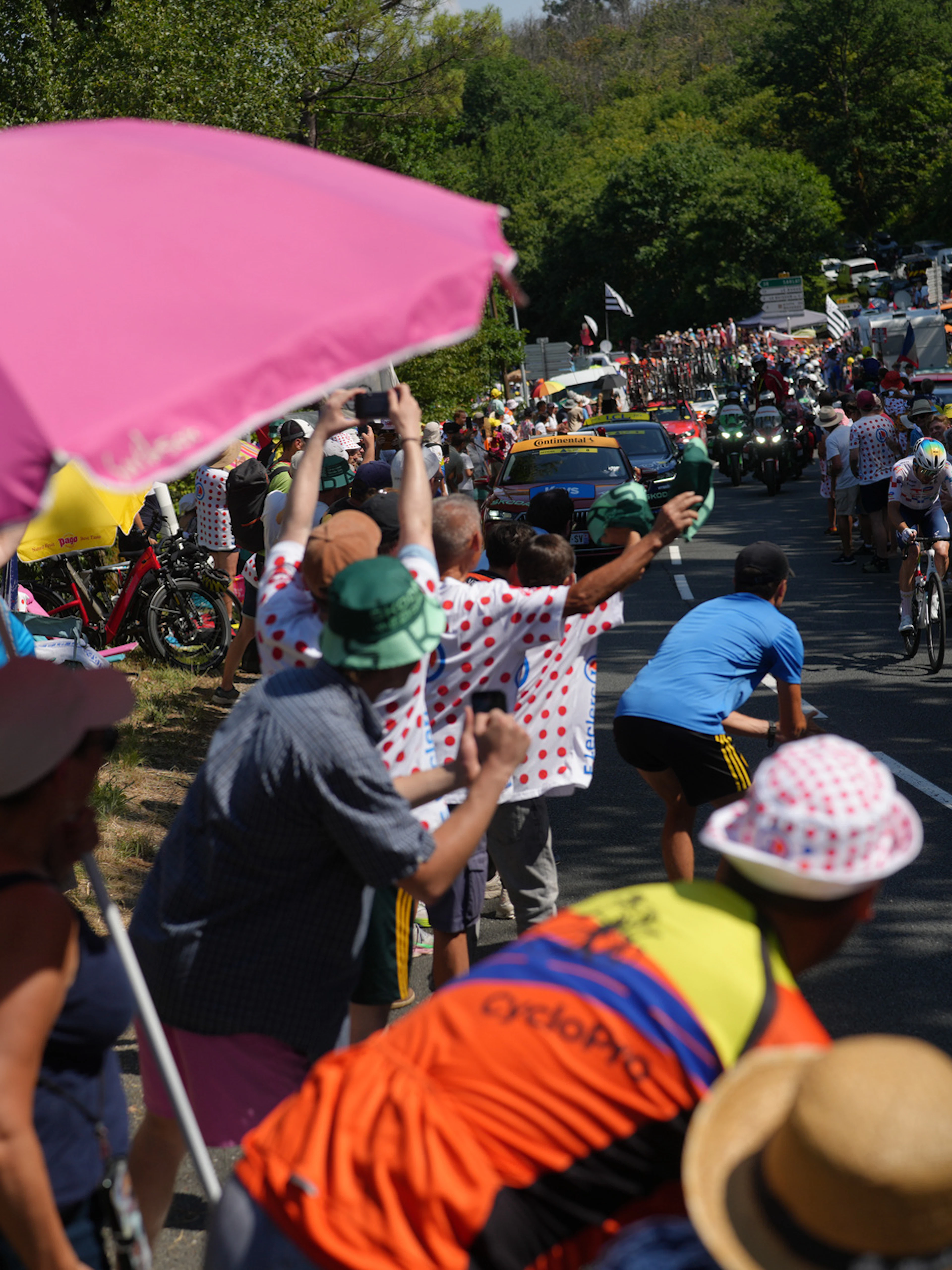 Canicule : le Tour de France modifie en urgence le parcours de la 9e étape