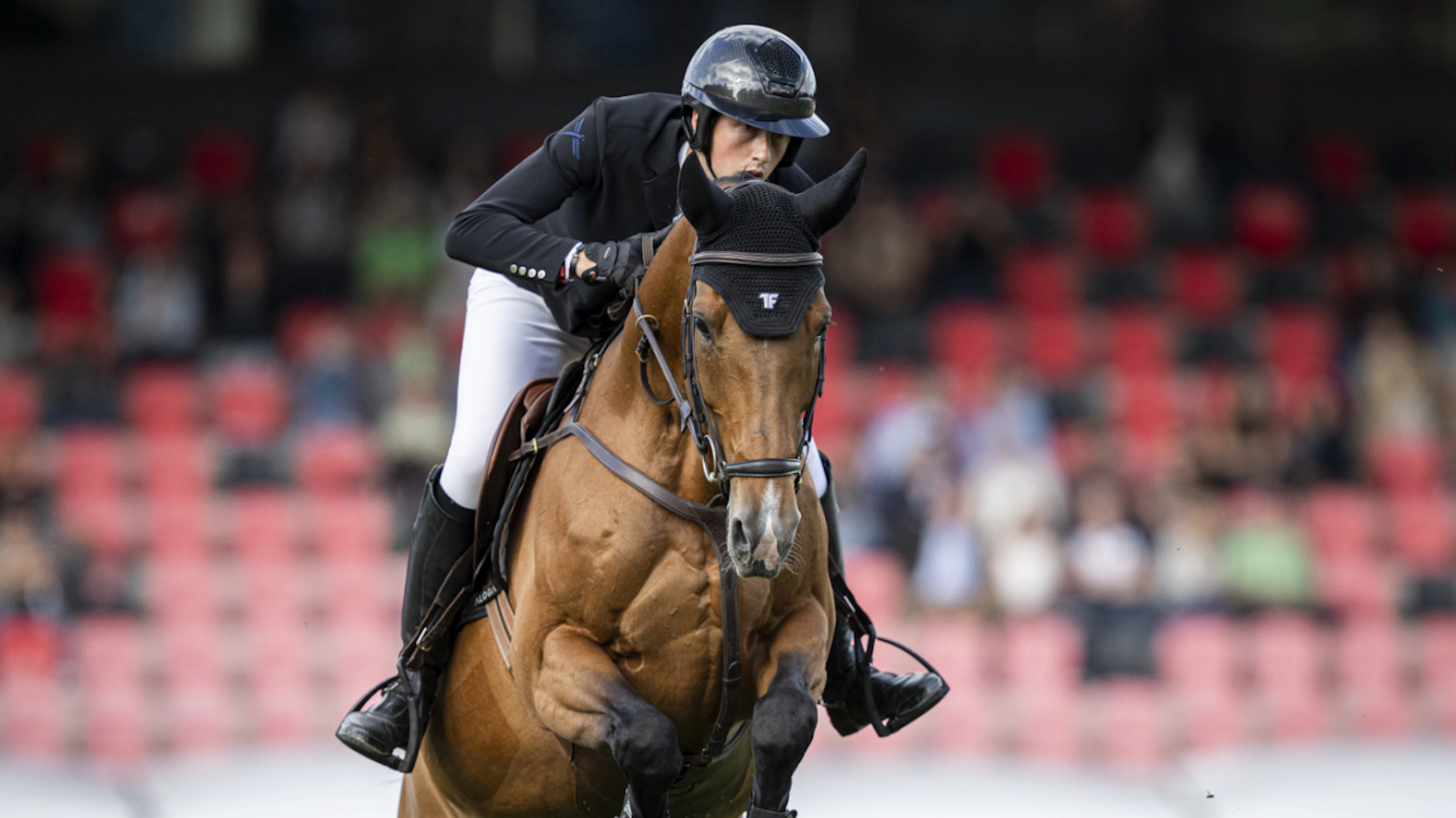 Hippisme : Un nouveau succès suisse au CSIO de Falsterbo