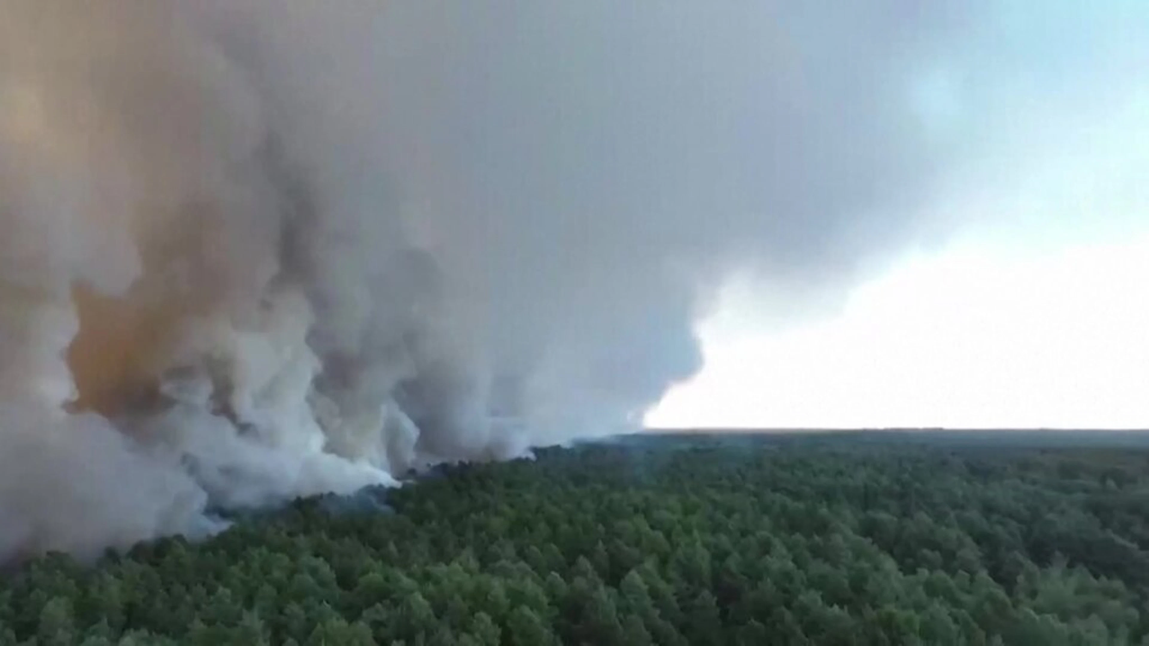 Incendie hors normes de l'emblématique forêt de Fontainebleau