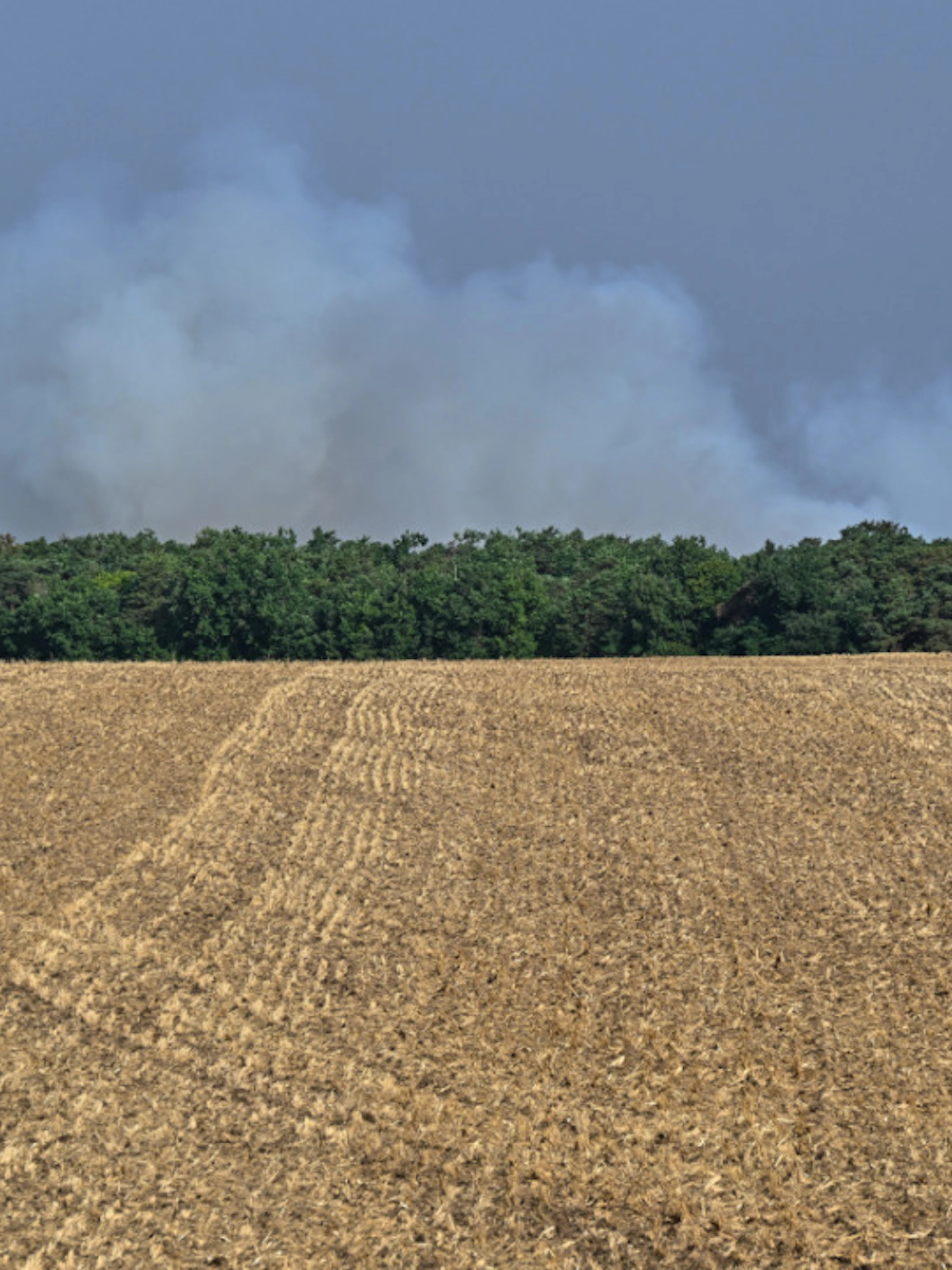 Frankreich kämpft gegen riesigen Waldbrand – Ermittlungen laufen