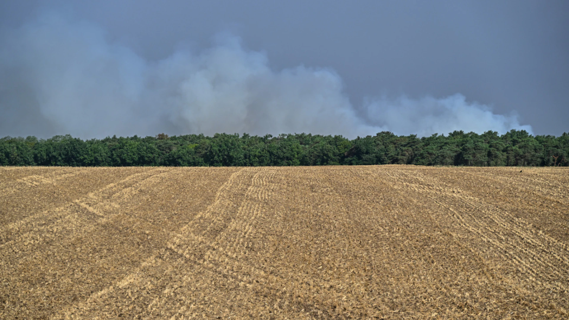 Bei Waldbränden im historischen Wald von Fontainebleau, etwa 60 km südlich von Paris steigen Rauchwolken in den Himmel. Foto: Emma Da Silva/AP/dpa