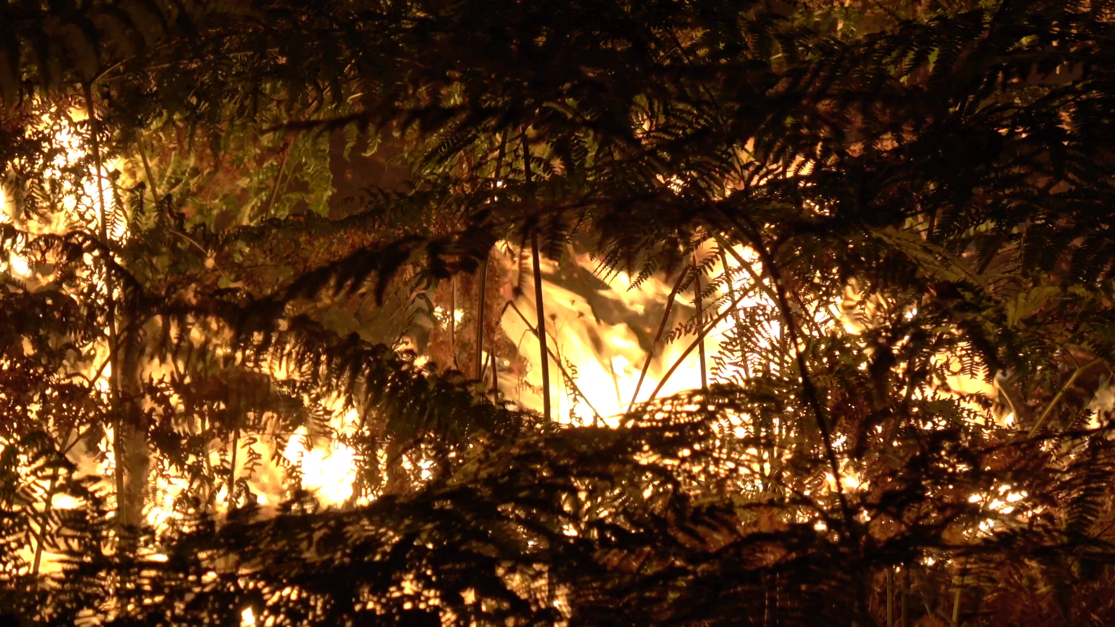 Les pompiers luttent contre un incendie de forêt d'une ampleur exceptionnelle dans la forêt de Fontainebleau, près de l'autoroute A6 à Le Vaudoue, en Seine-et-Marne, le 13 juillet 2026.