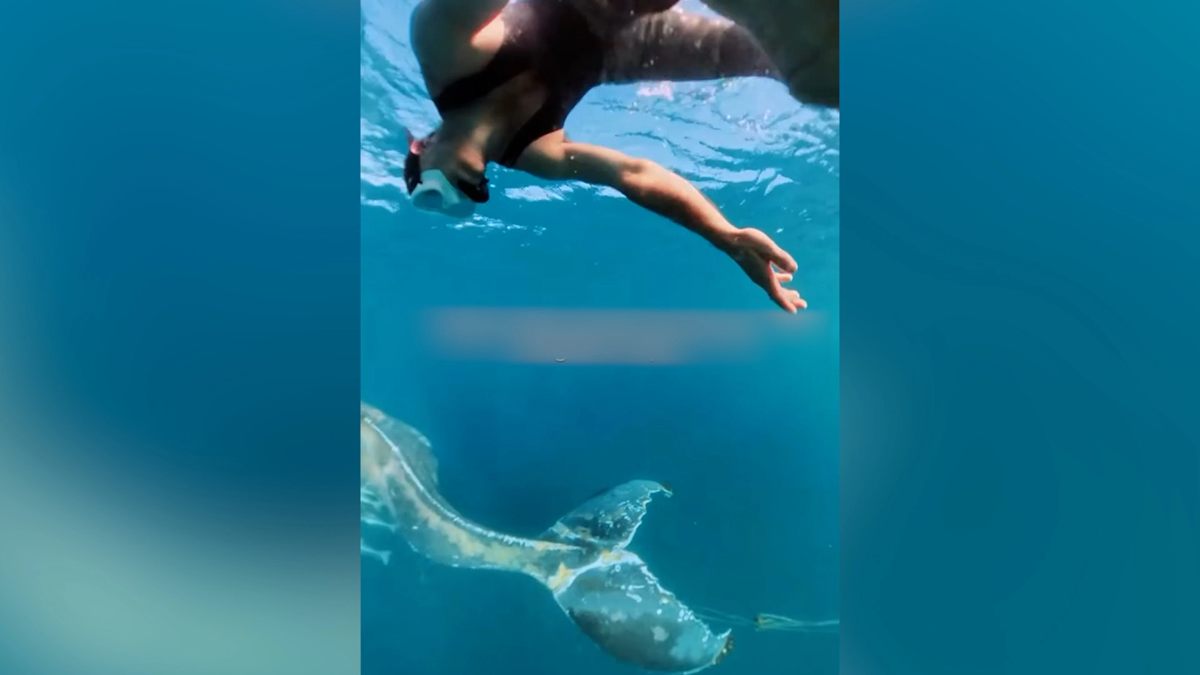 Australier springen vom Jetski und befreien einen Buckelwal