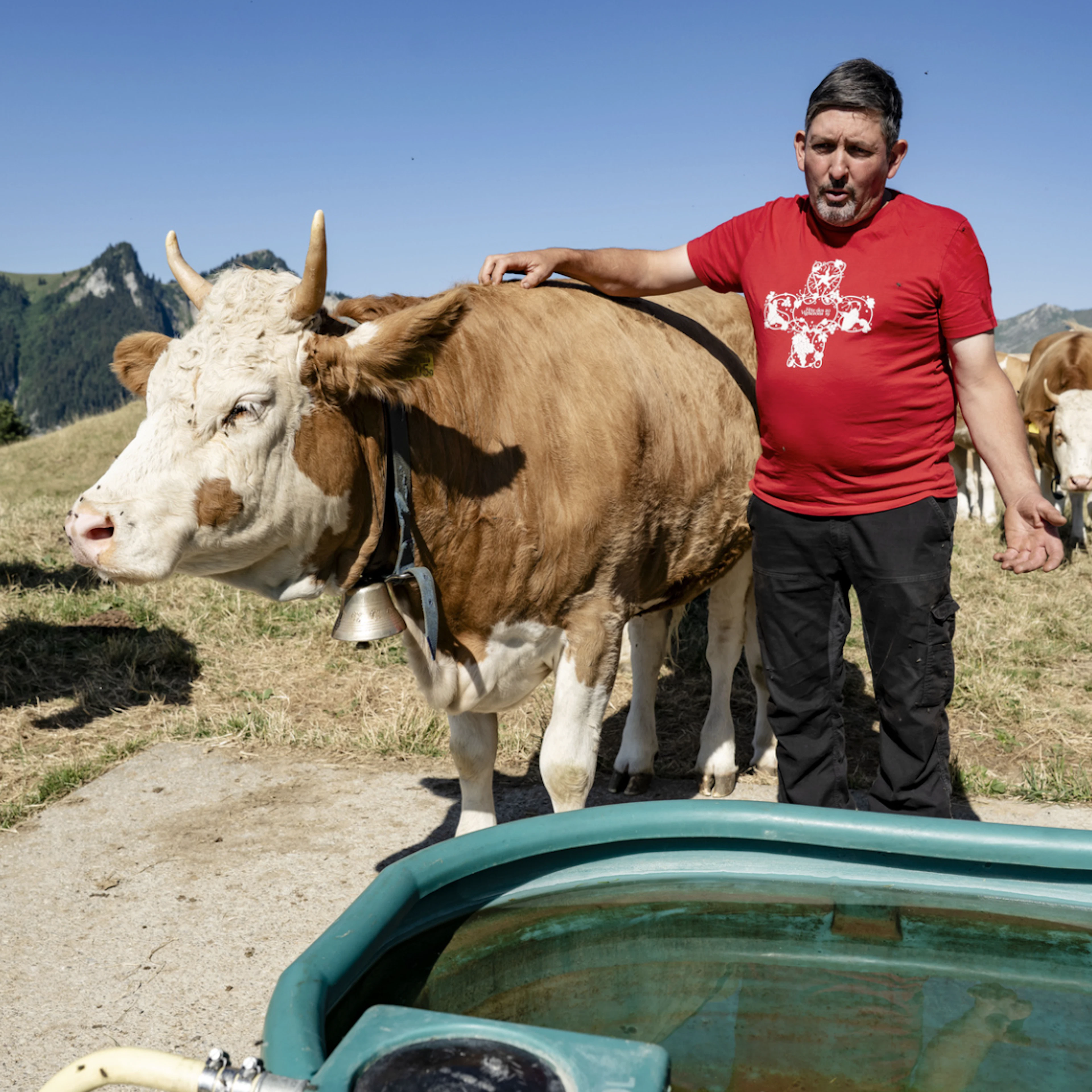 «Il n'y a plus d'herbe en haut»