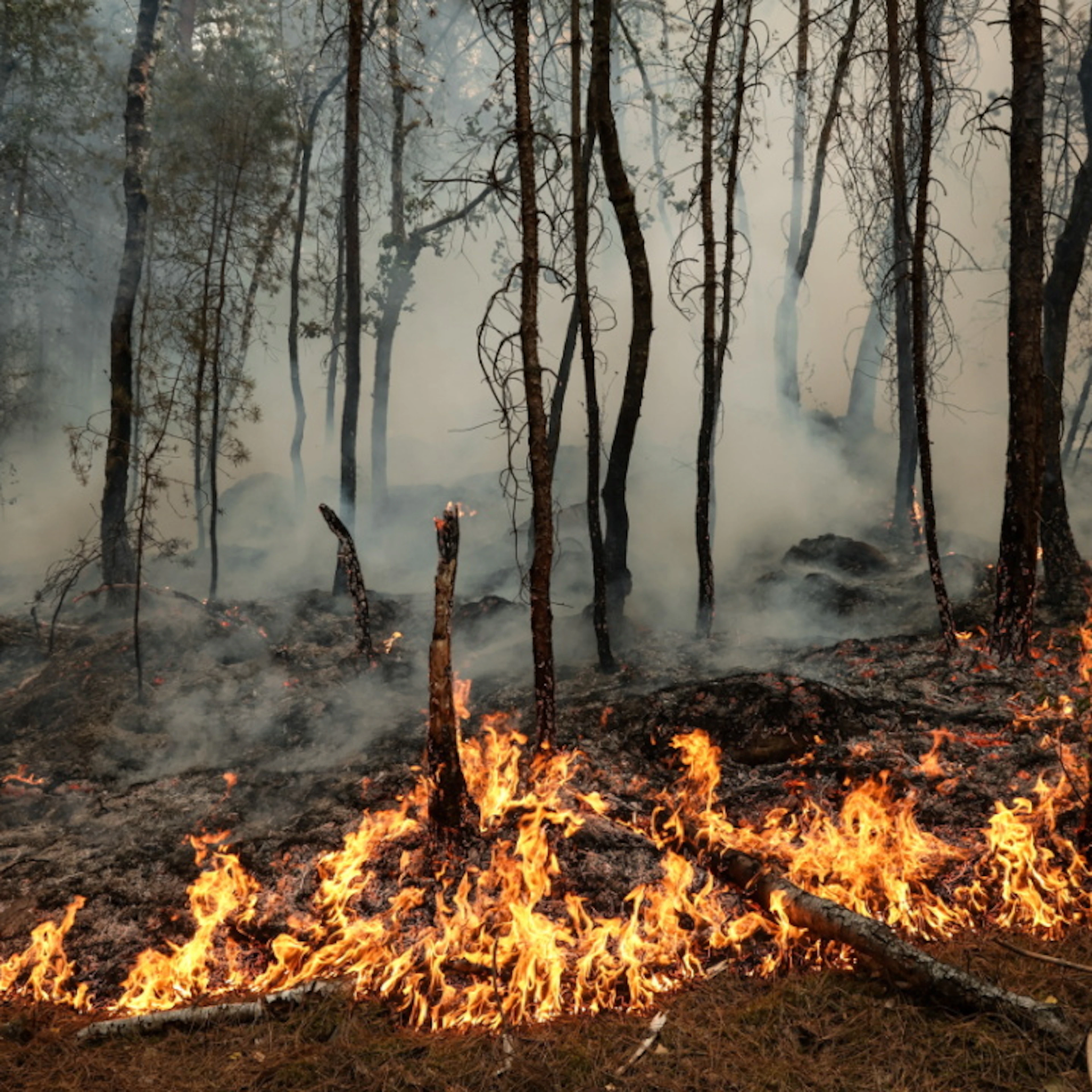 «On espère fixer le feu»