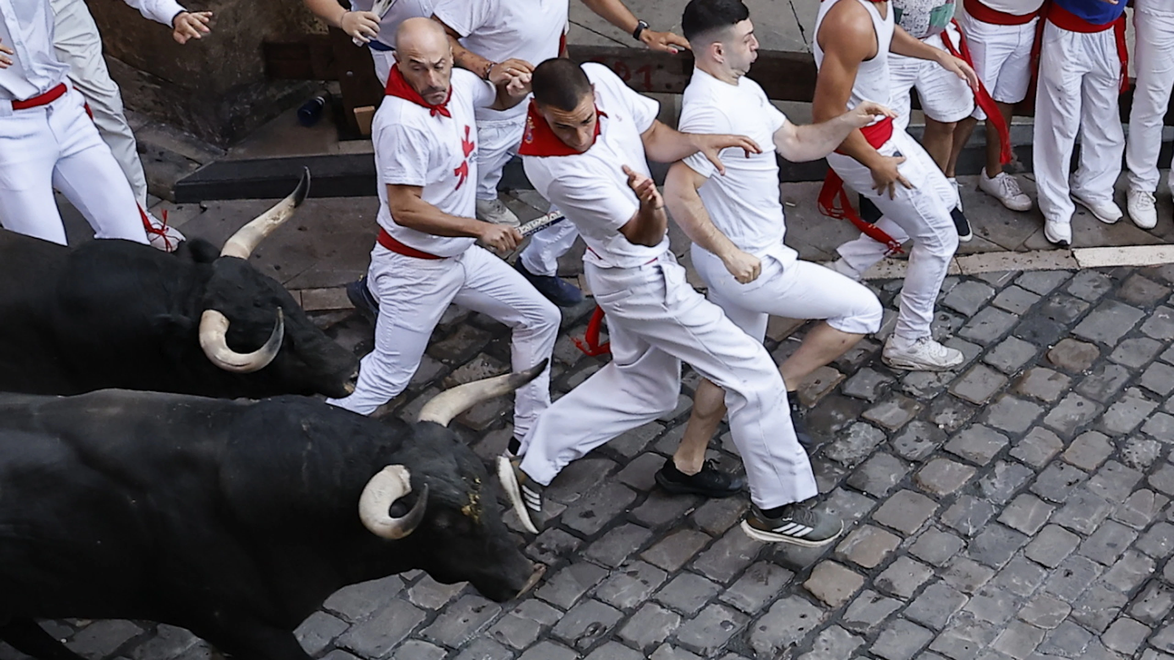 Numerosi feriti, la maggior parte per cornate, nell'ultima corsa dei tori di San Fermin