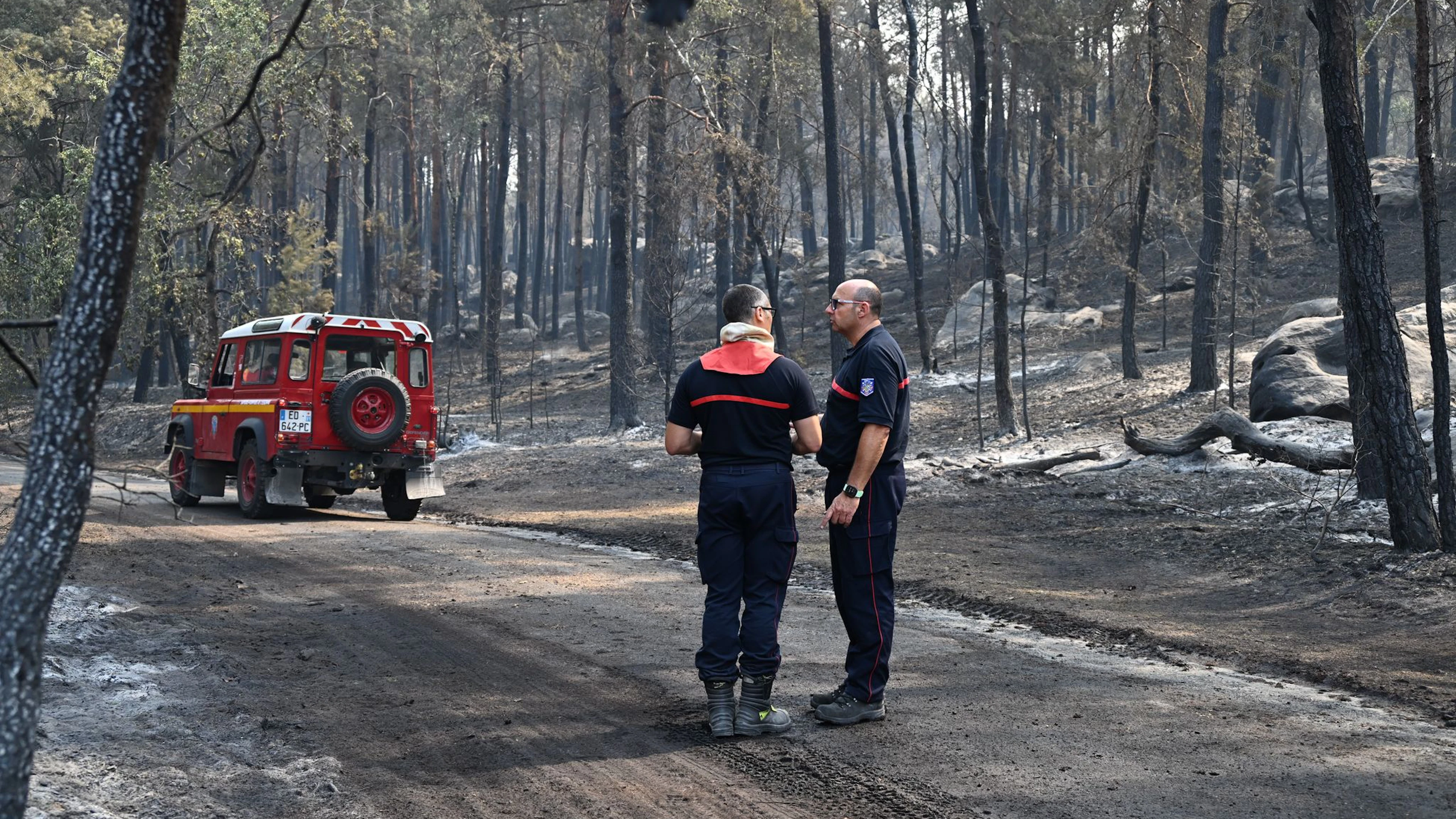Six personnes en garde à vue, 2000 hectares brûlés