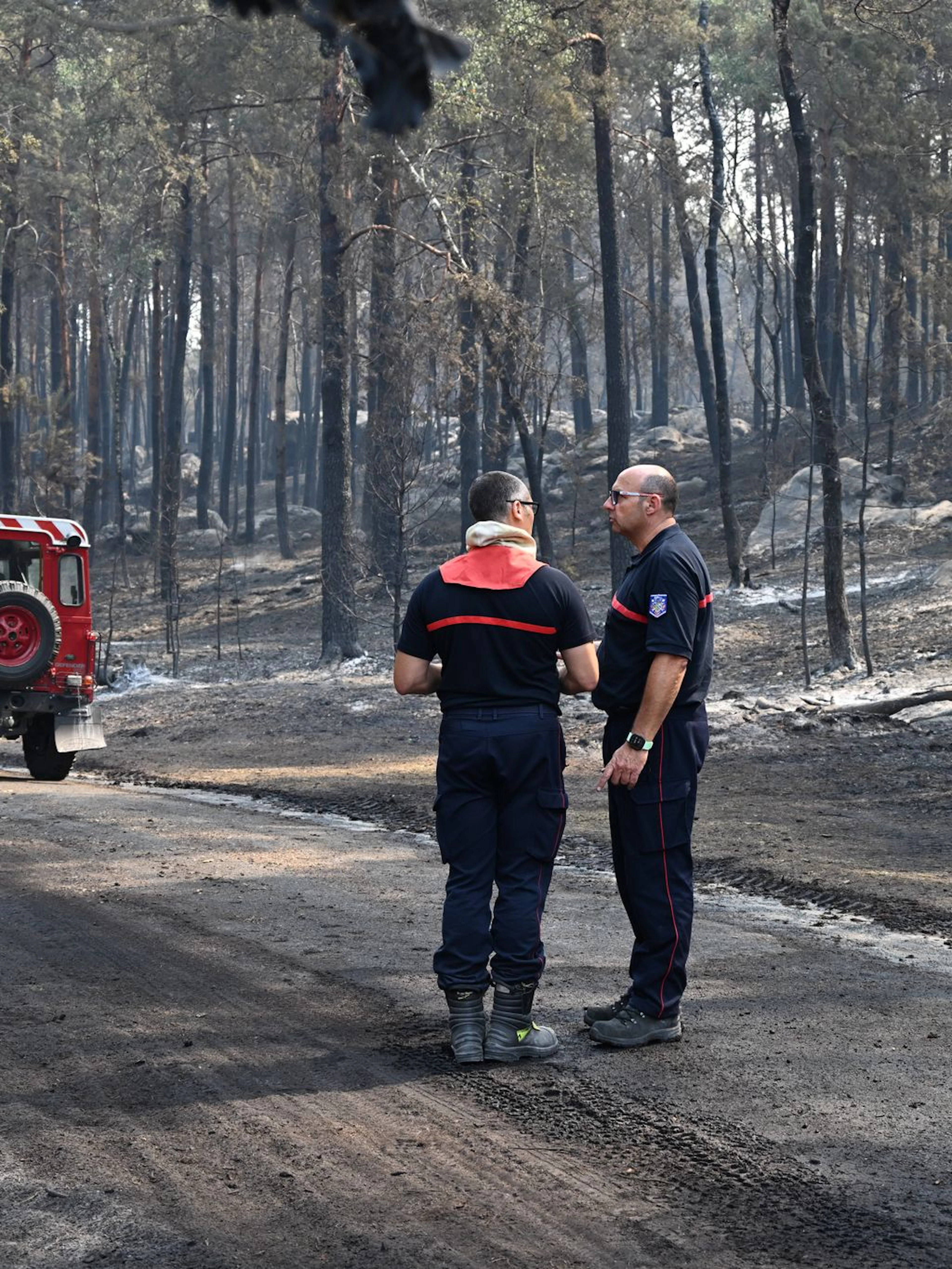 Six personnes en garde à vue, 2000 hectares brûlés