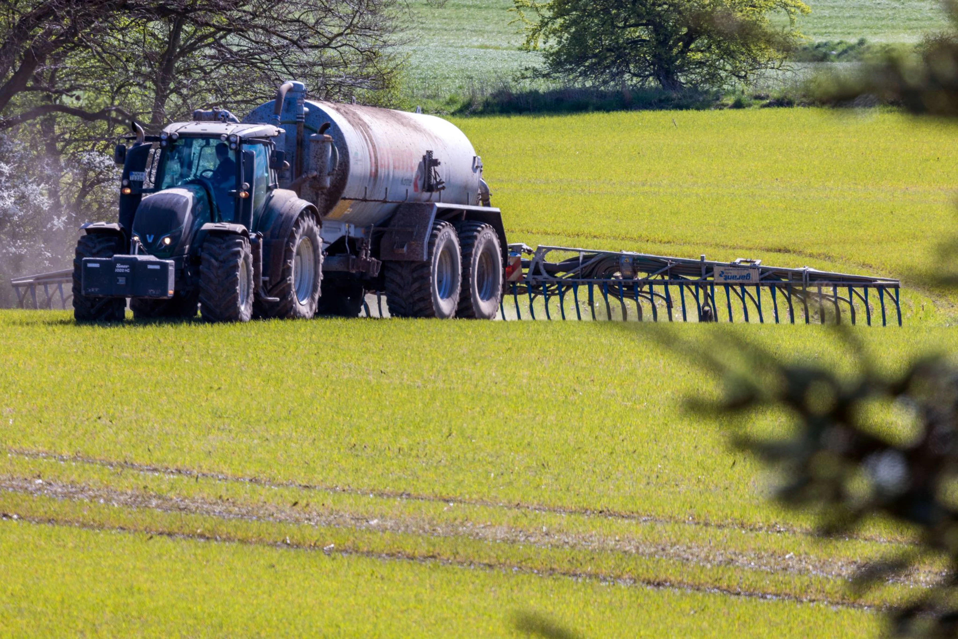 Nitrate enters the soil through sources such as manure, among others. (Illustrative image)