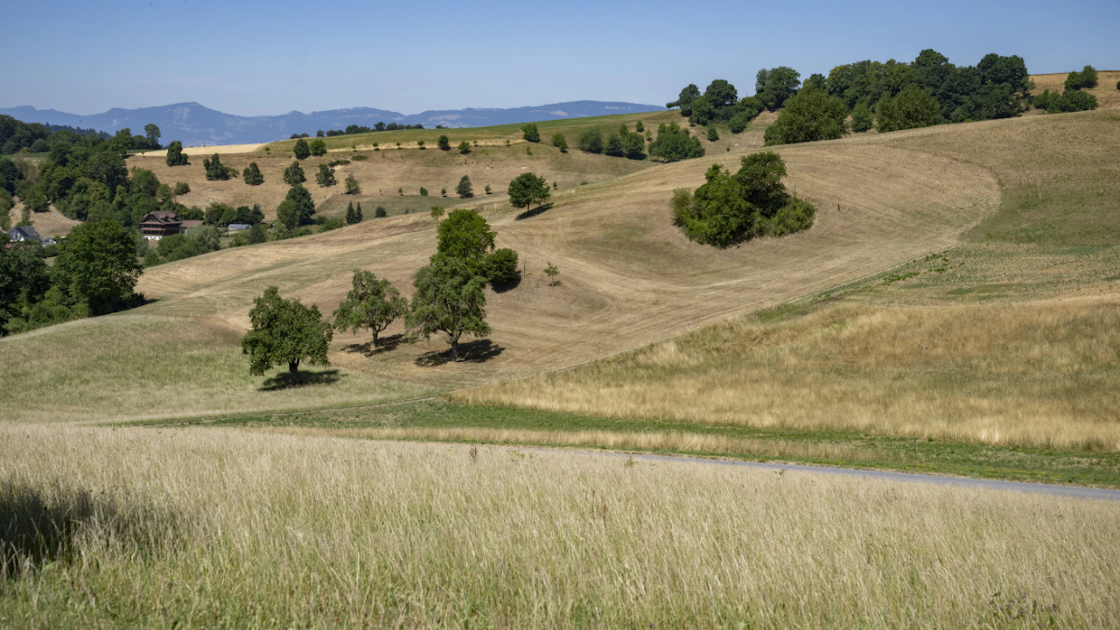 La prima metà di luglio batte già i record di caldo in Svizzera