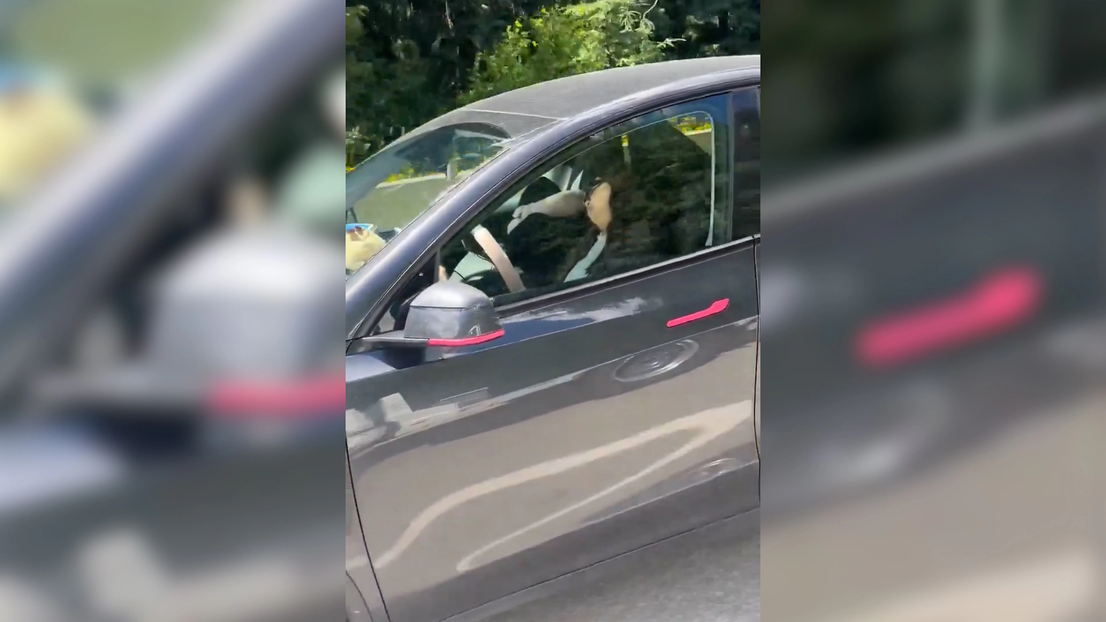 Tesla-Fahrerin schläft bei 100 Sachen auf dem Highway