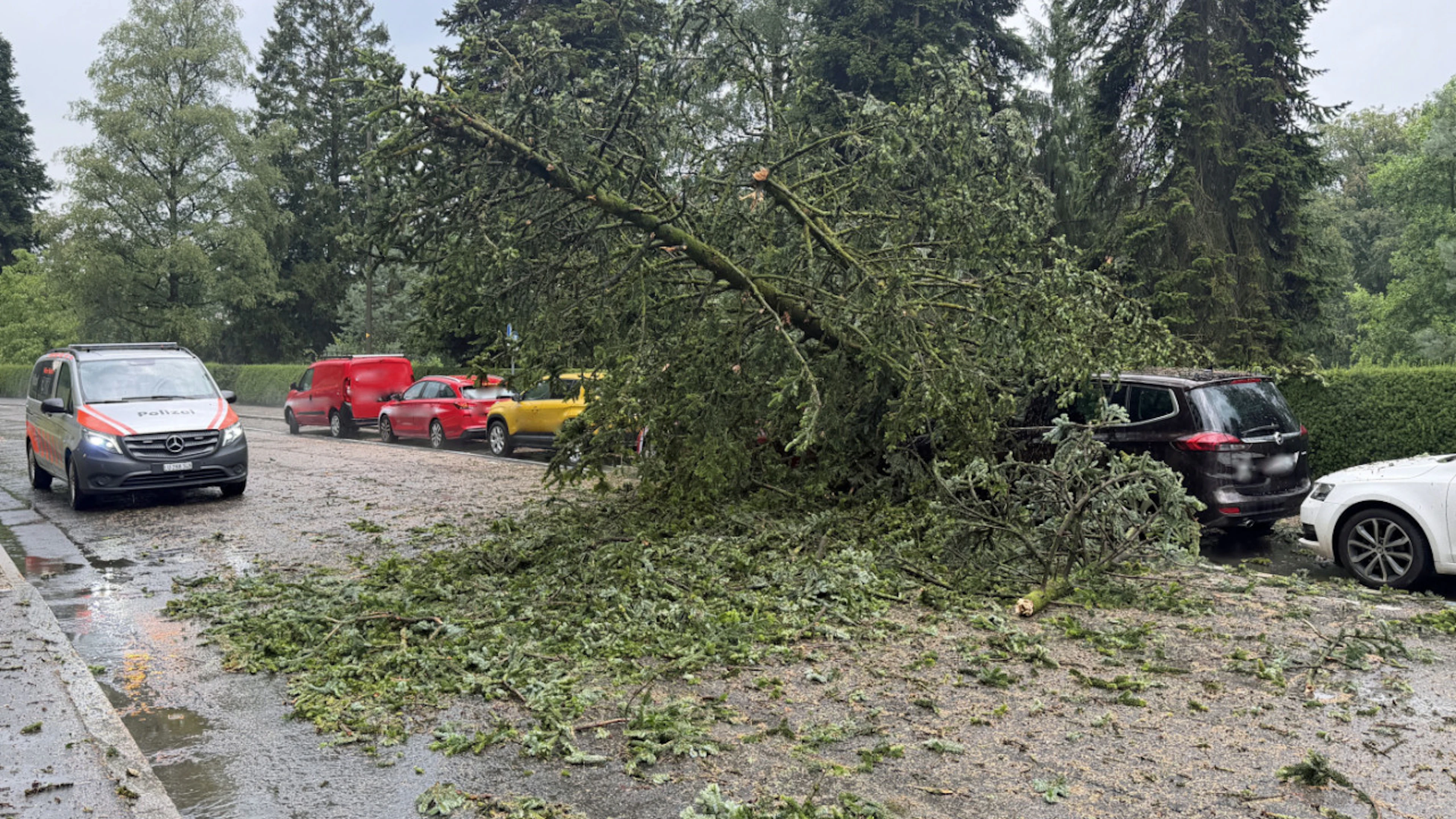 Violento temporale sul Canton Lucerna: alberi abbattuti e cantine allagate