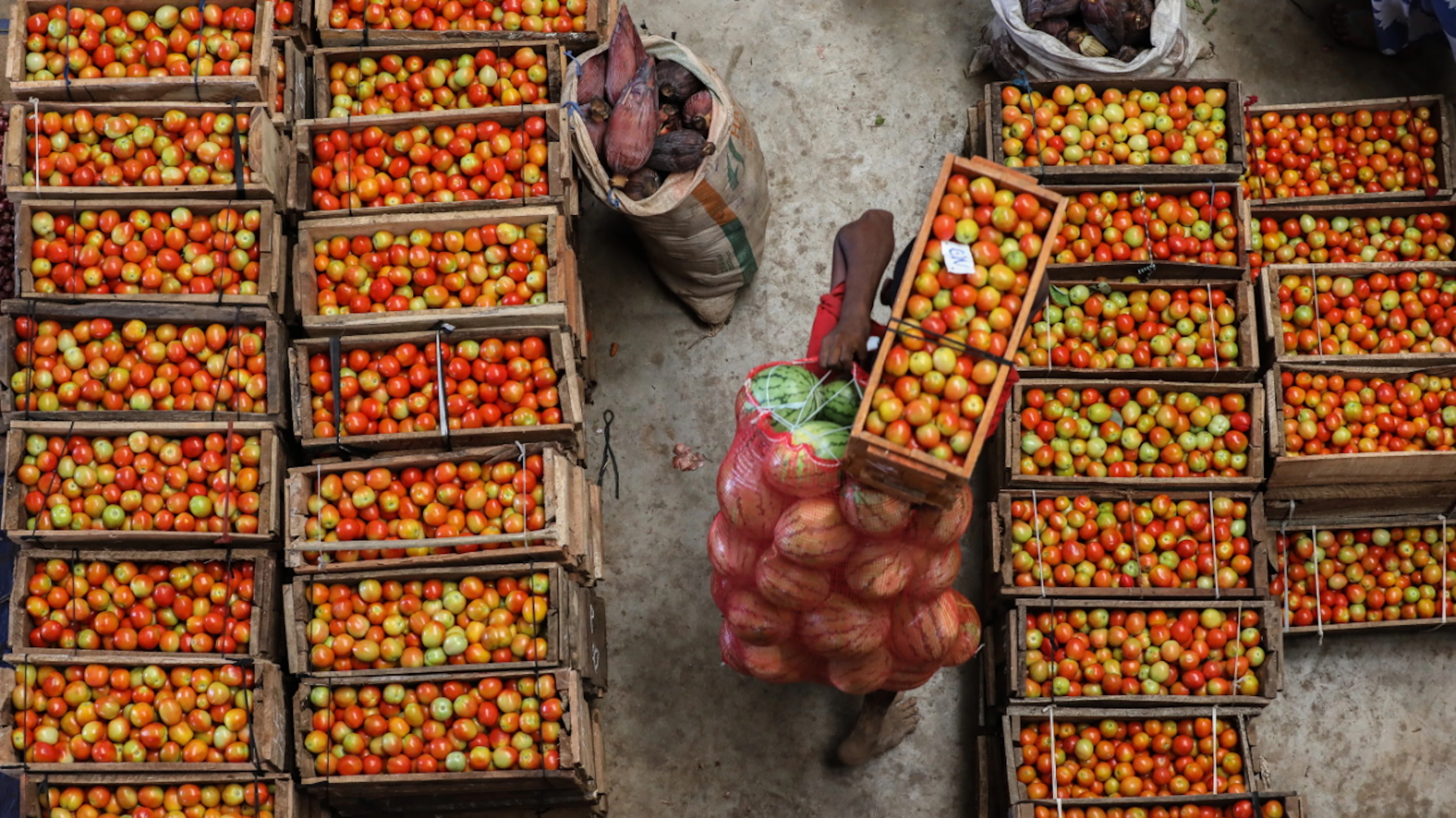Les fruits et les légumes représentent 16% du coût d'une alimentation saine, selon la FAO (image d'illustration).