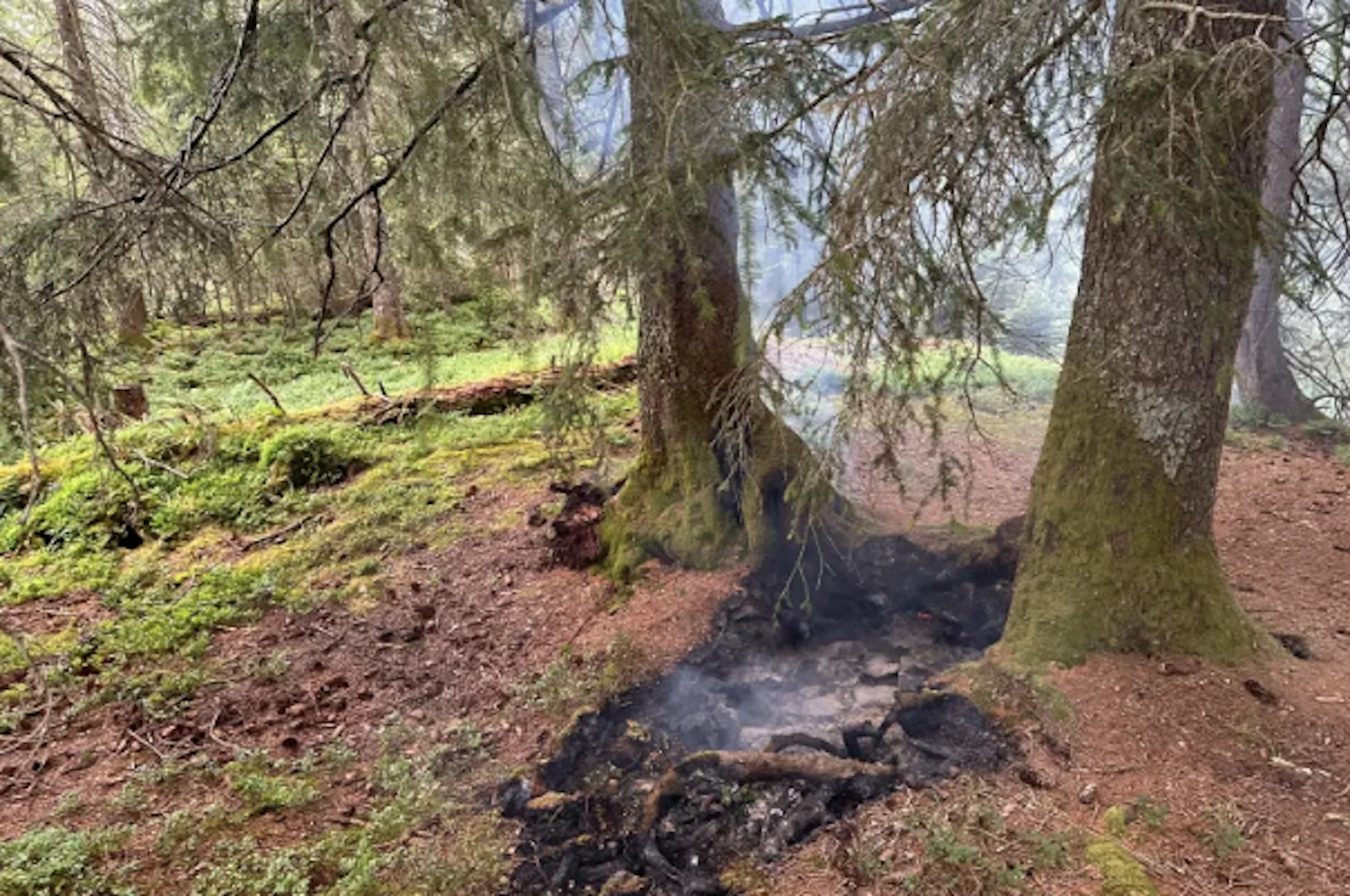 According to initial findings by the cantonal police, the fire is believed to have been caused by a lightning strike.