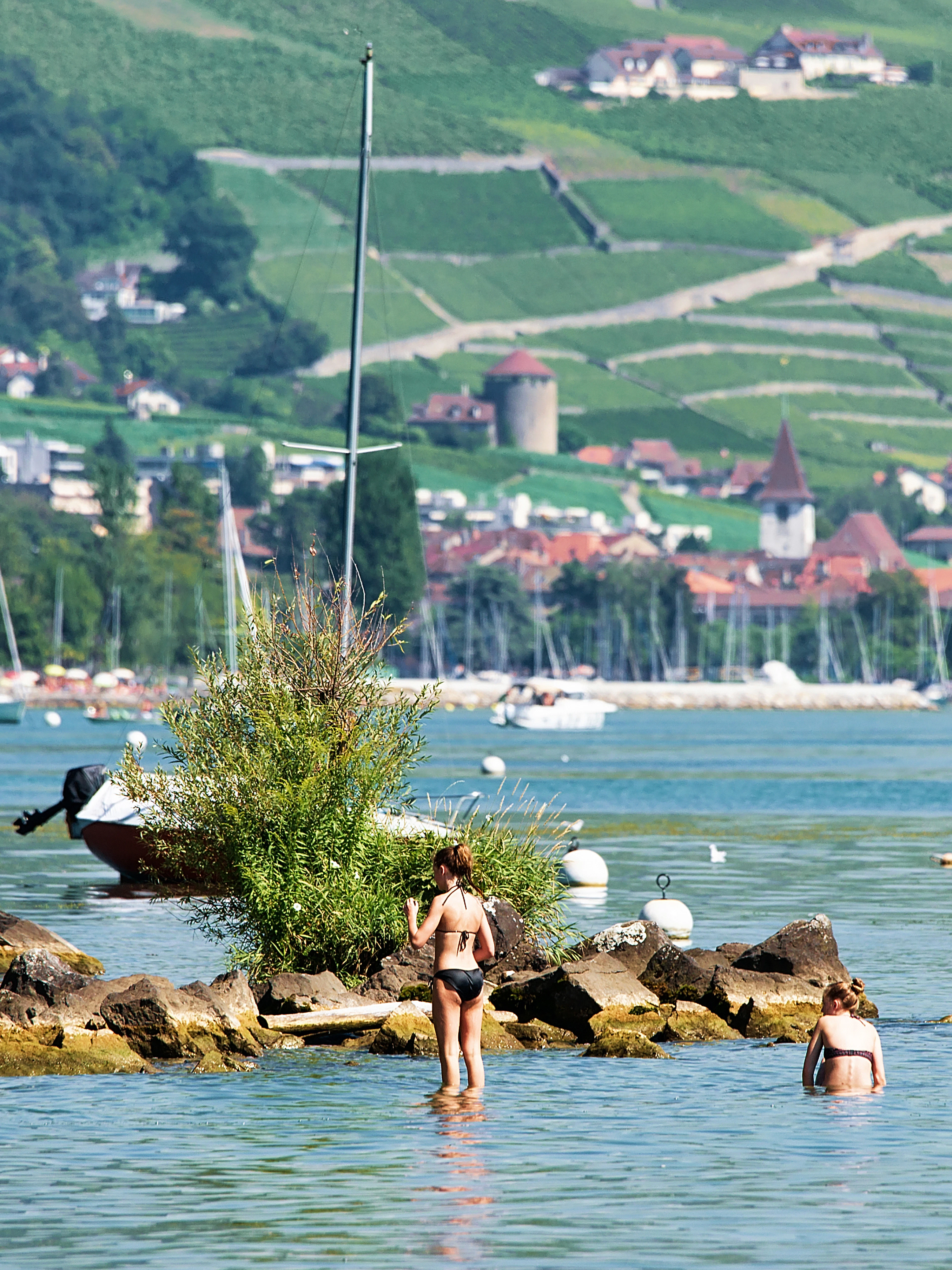 Pourquoi ne mesure-t-on pas les cyanobactéries dans le Léman?