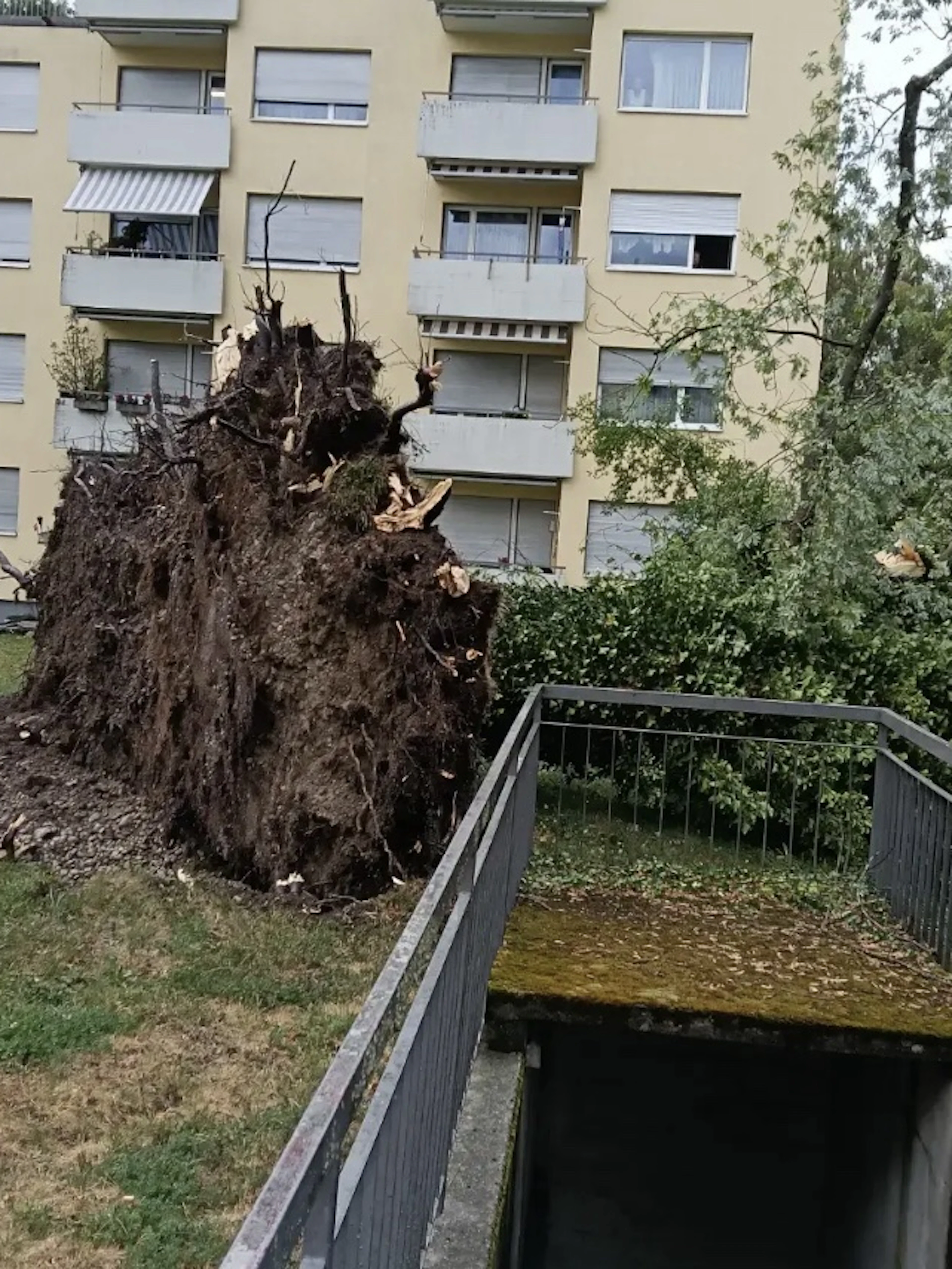 Heftige Gewitter ziehen durch die Schweiz – Video zeigt Hagelsturm