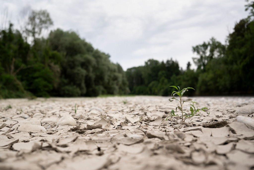 bluewin.ch - Climate protection measures are widely supported