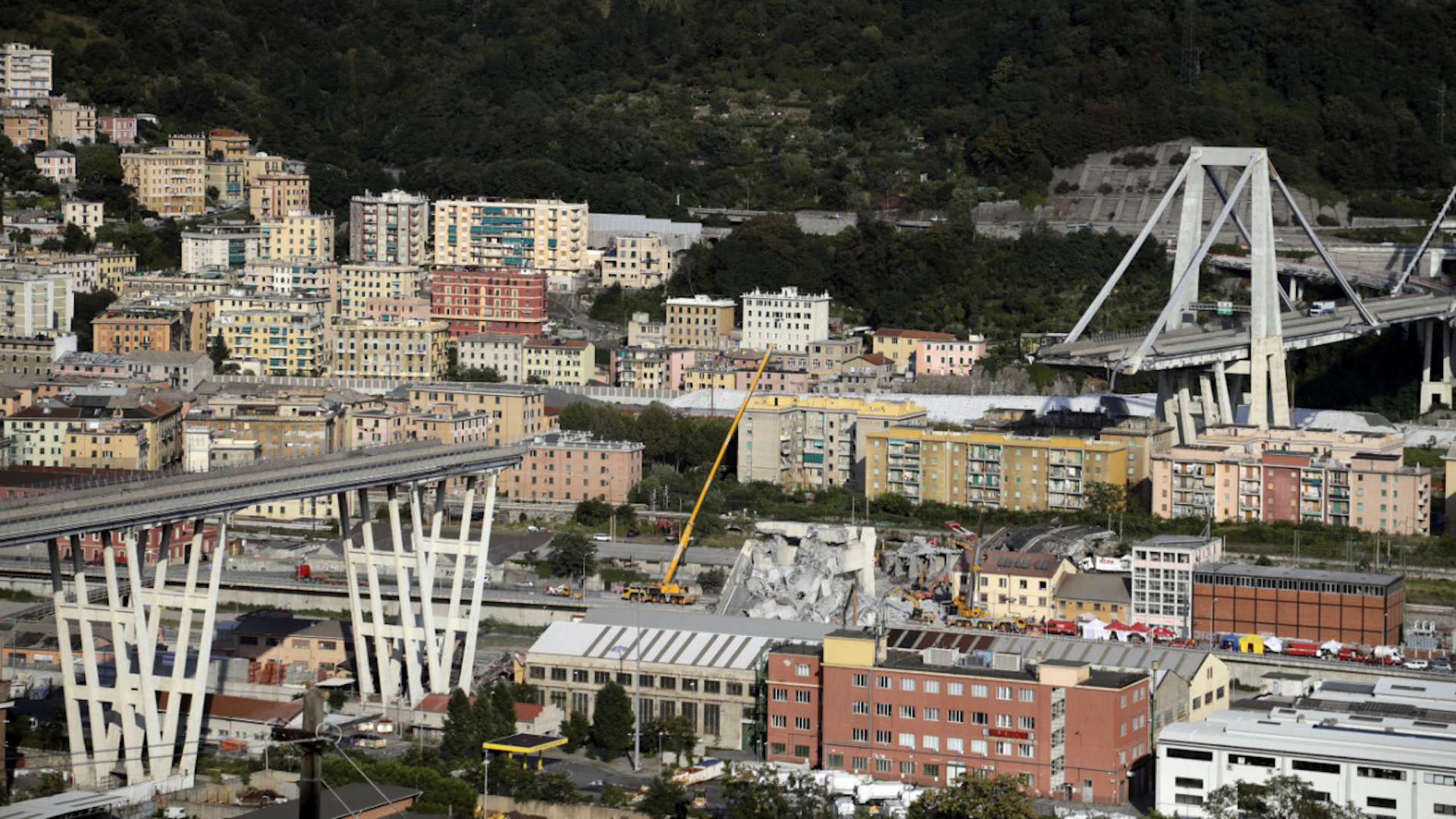 Nel crollo del ponte persero la vita 43 persone. (Immagine d'archivio del 17 agosto 2018)