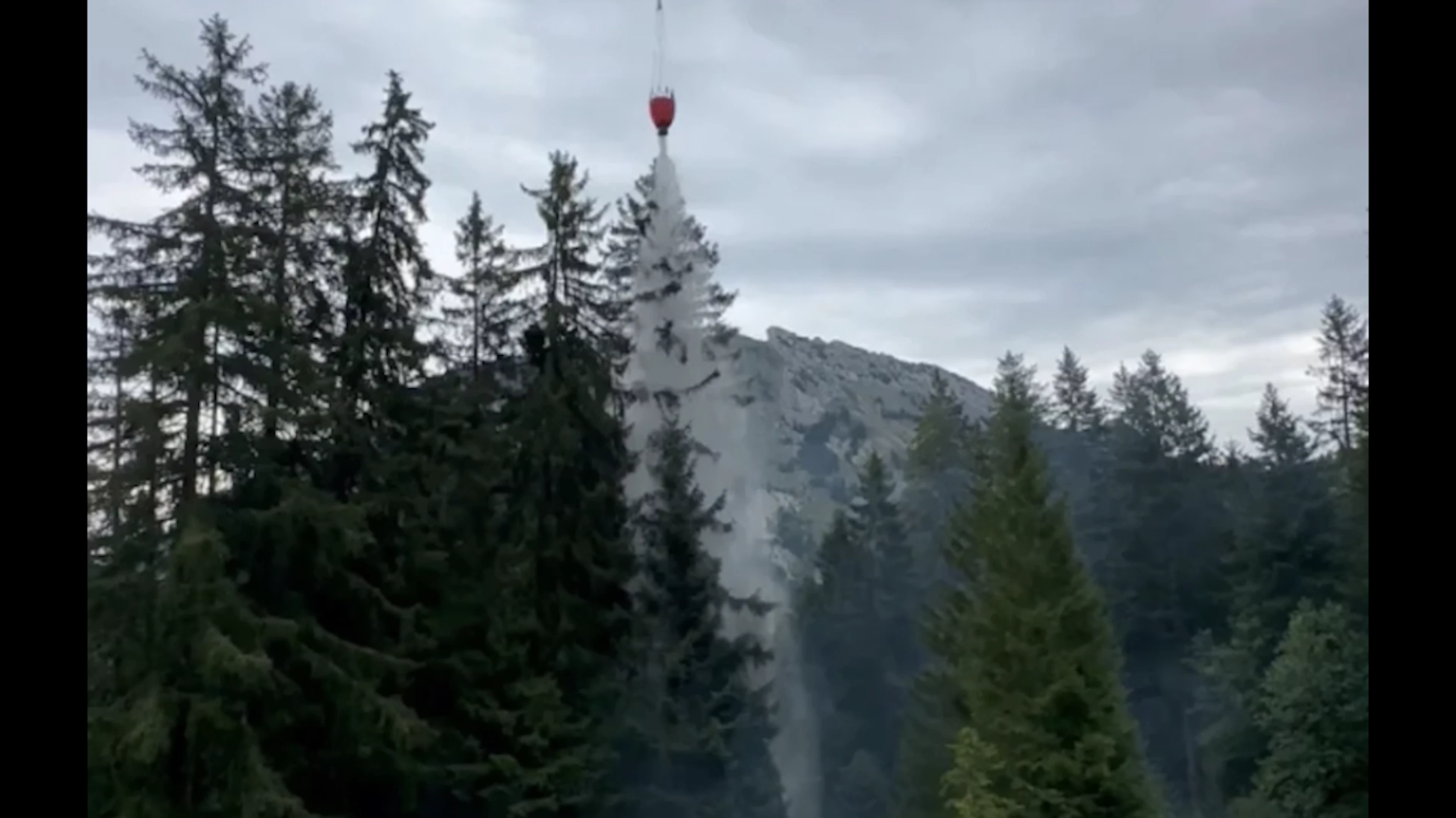 Feu de forêt après la chute de la foudre