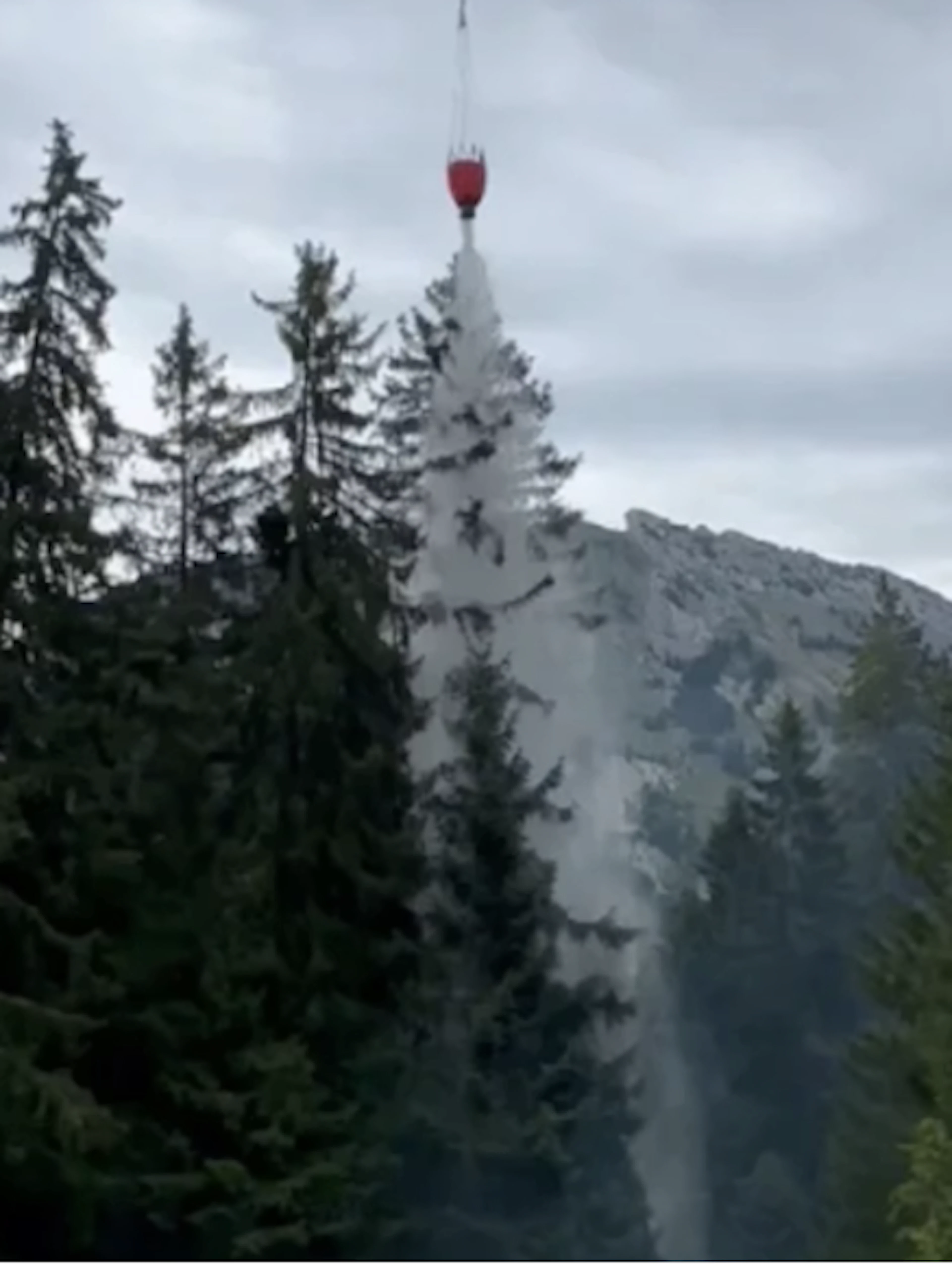 Feu de forêt après la chute de la foudre