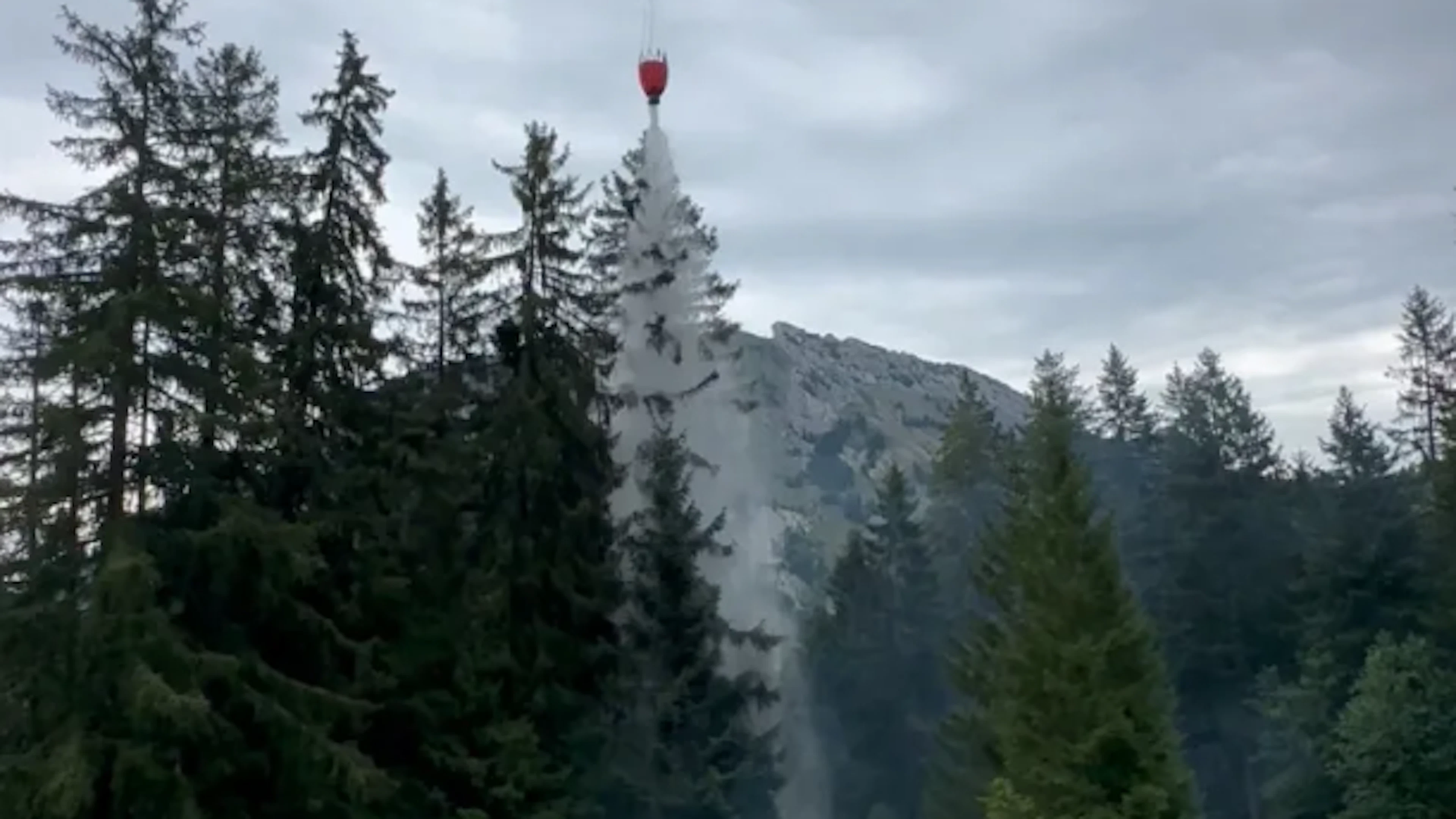 Waldbrand nach Blitzeinschlag im Kanton Schwyz