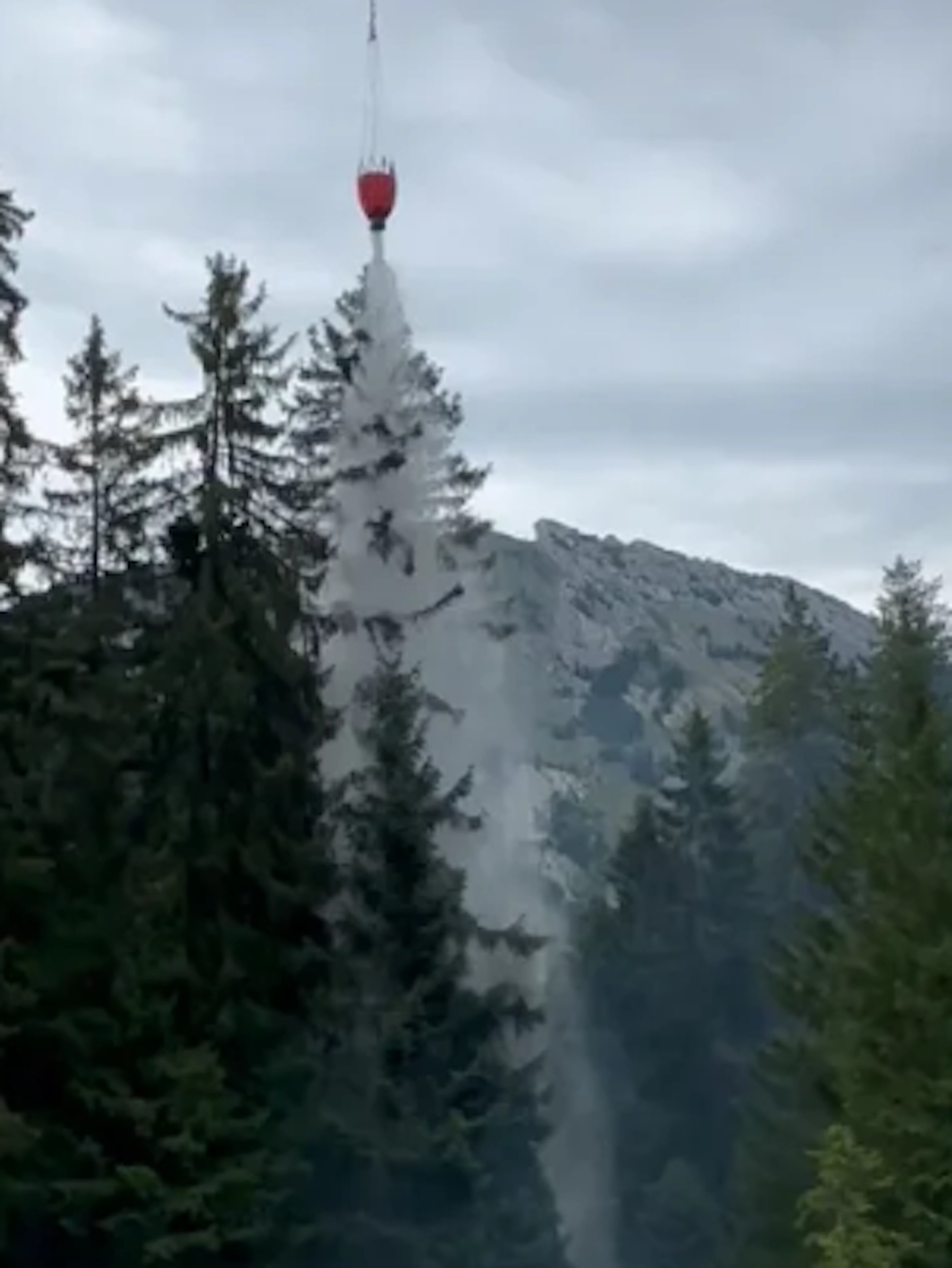 Waldbrand nach Blitzeinschlag im Kanton Schwyz