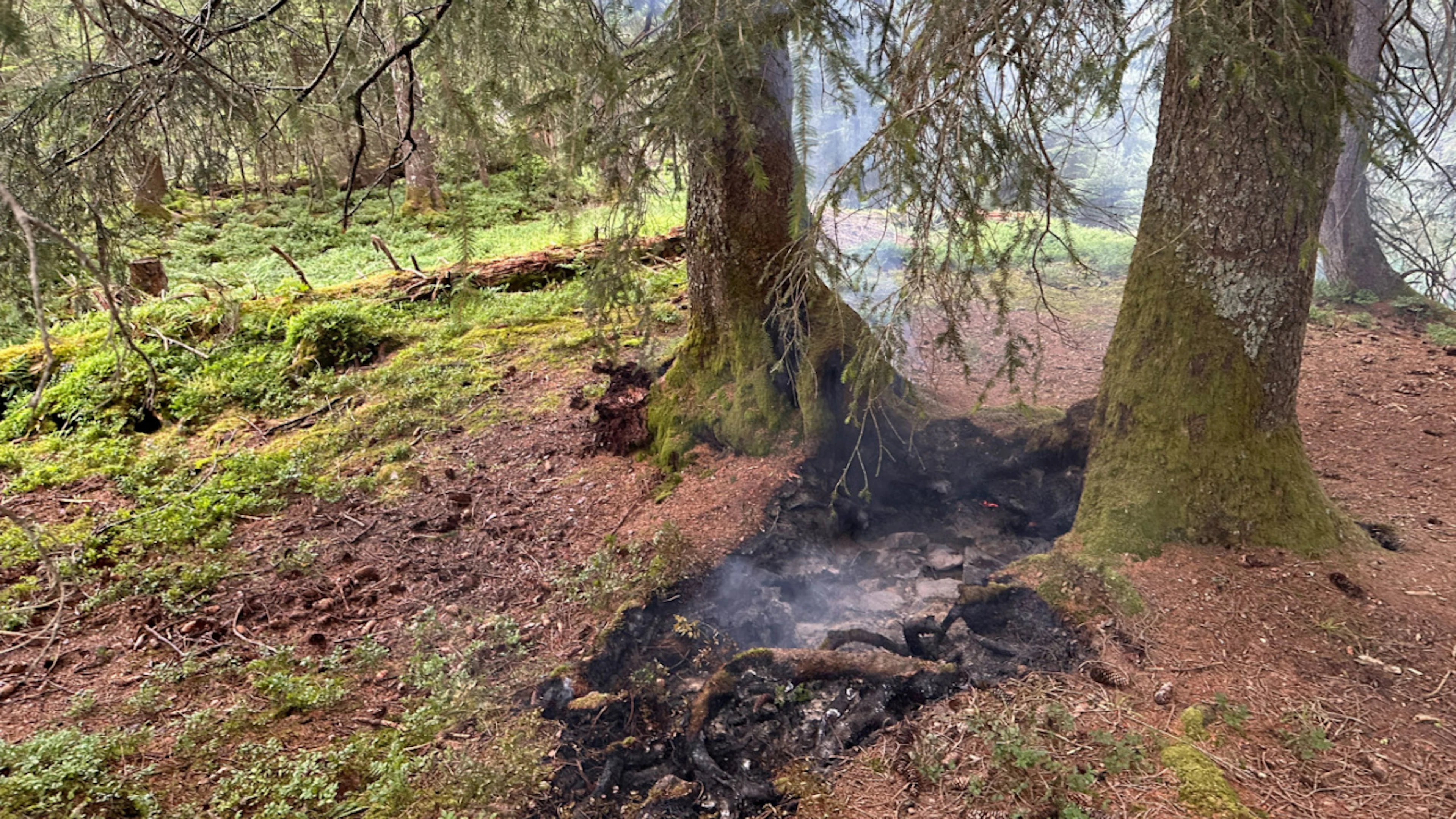 Début de feu de forêt éteint mercredi près d'Innerthal