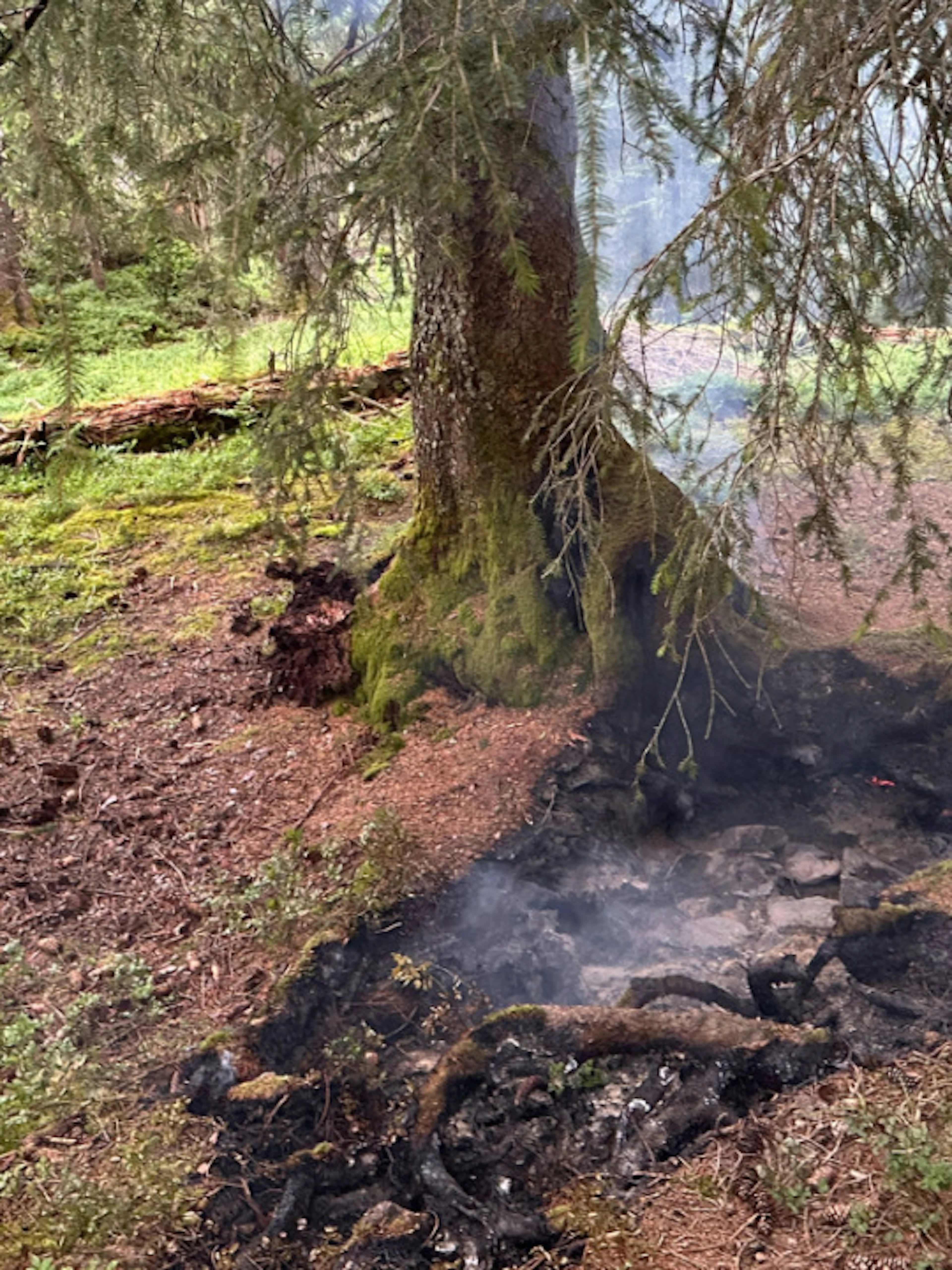 Début de feu de forêt éteint mercredi près d'Innerthal