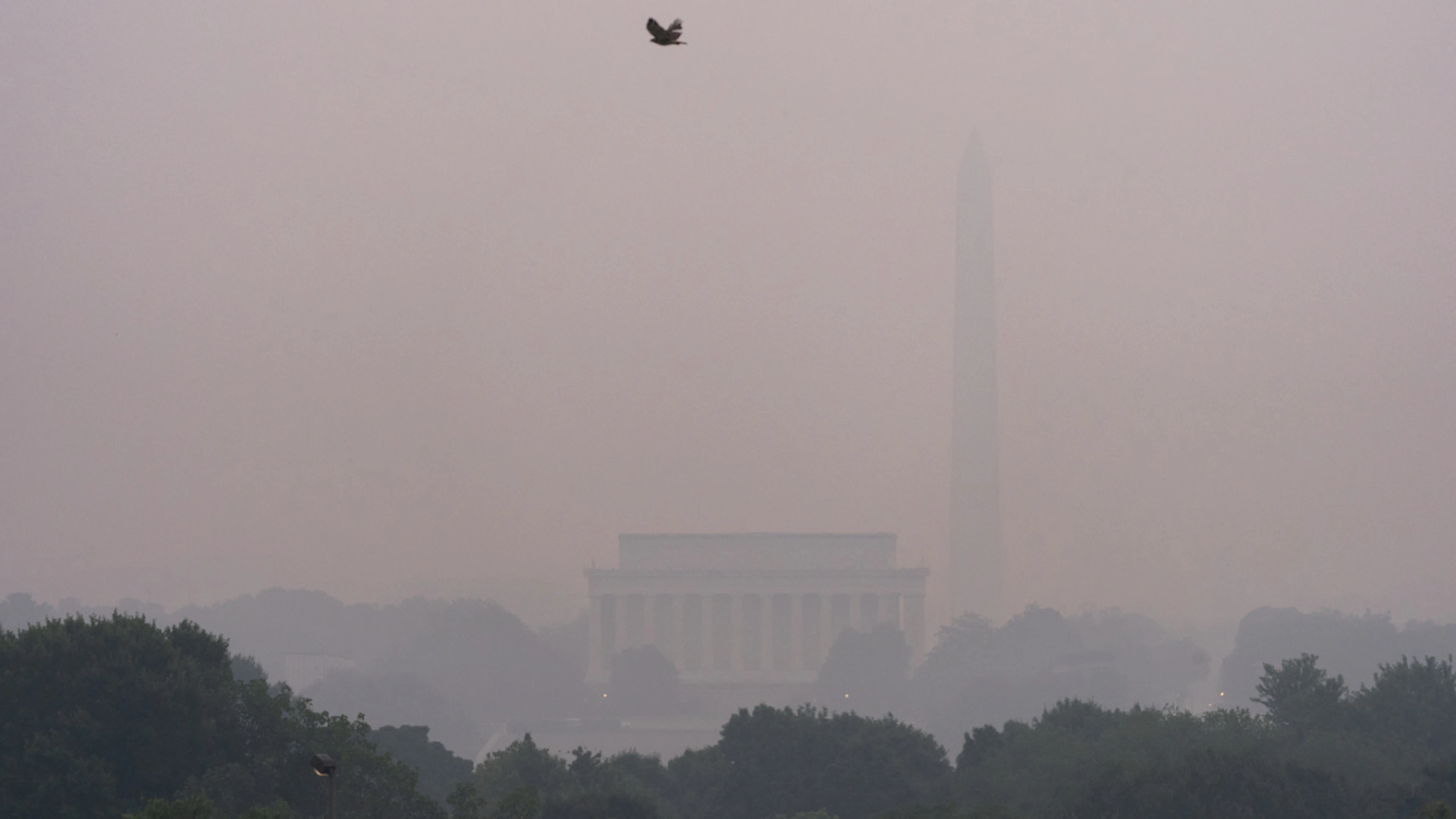 Il fumo degli incendi in Canada arriva anche a Washington, scatta allerta