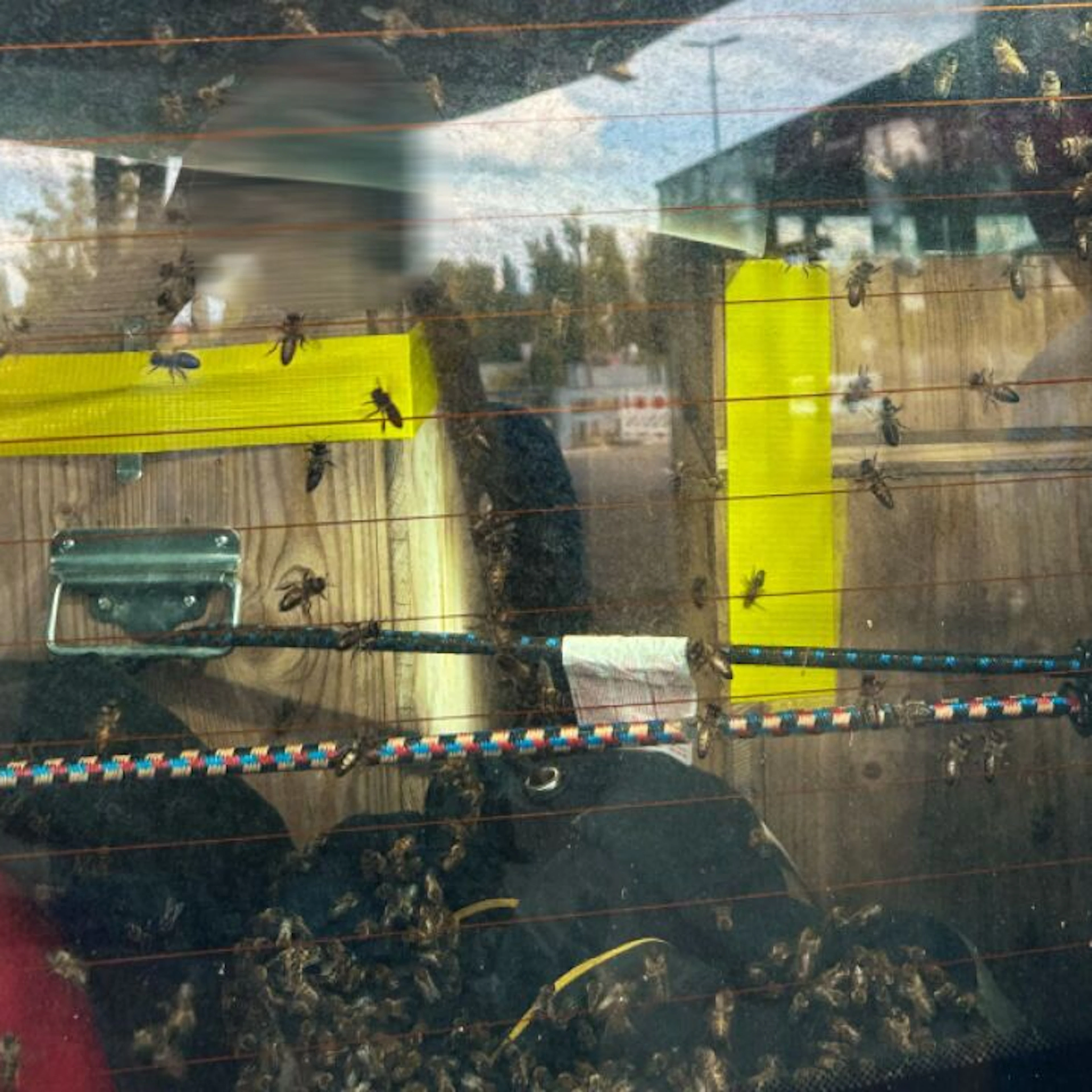 Al valico in Turgovia
