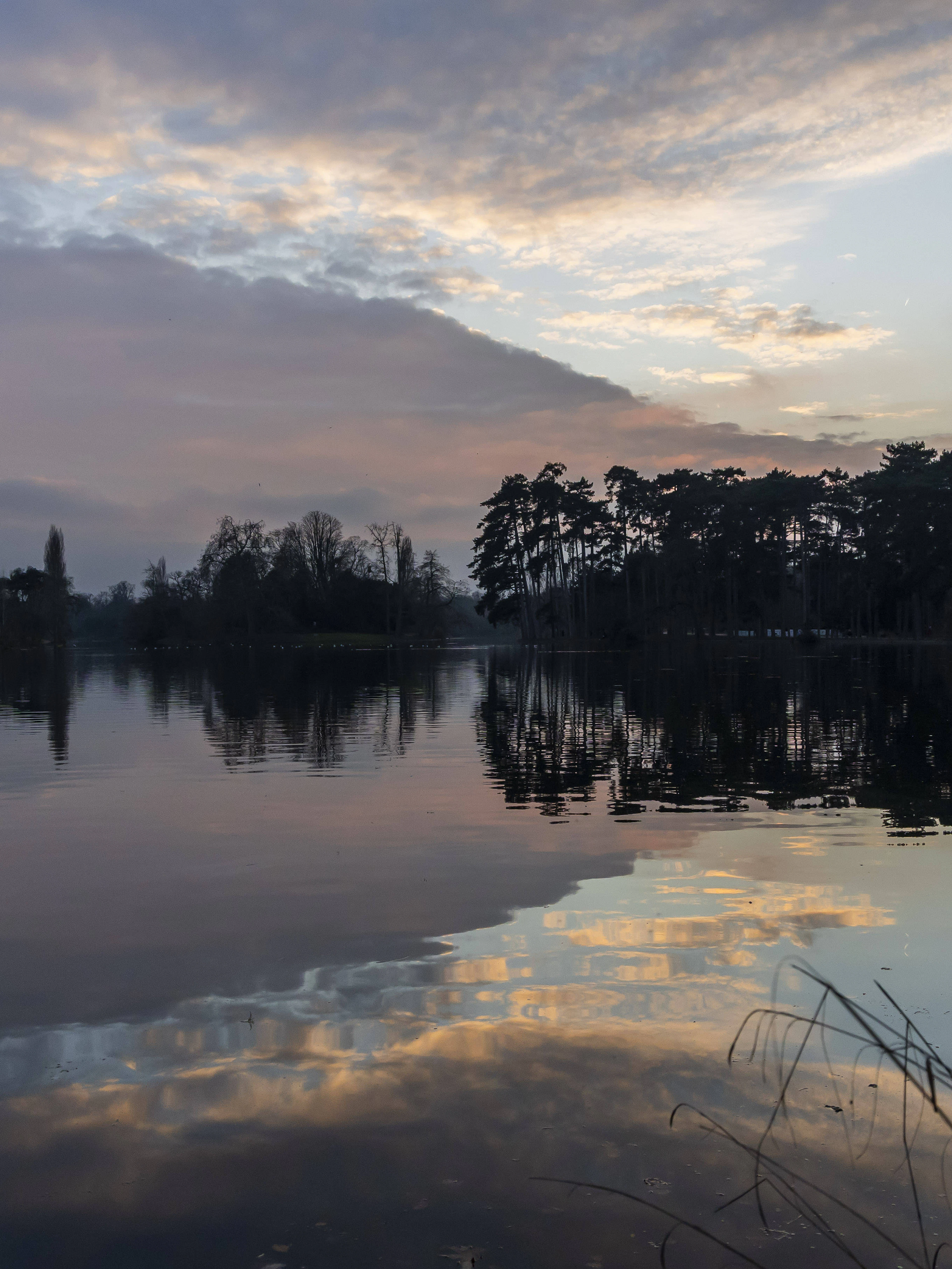 Un homme en garde à vue pour avoir mis le feu dans le bois de Boulogne