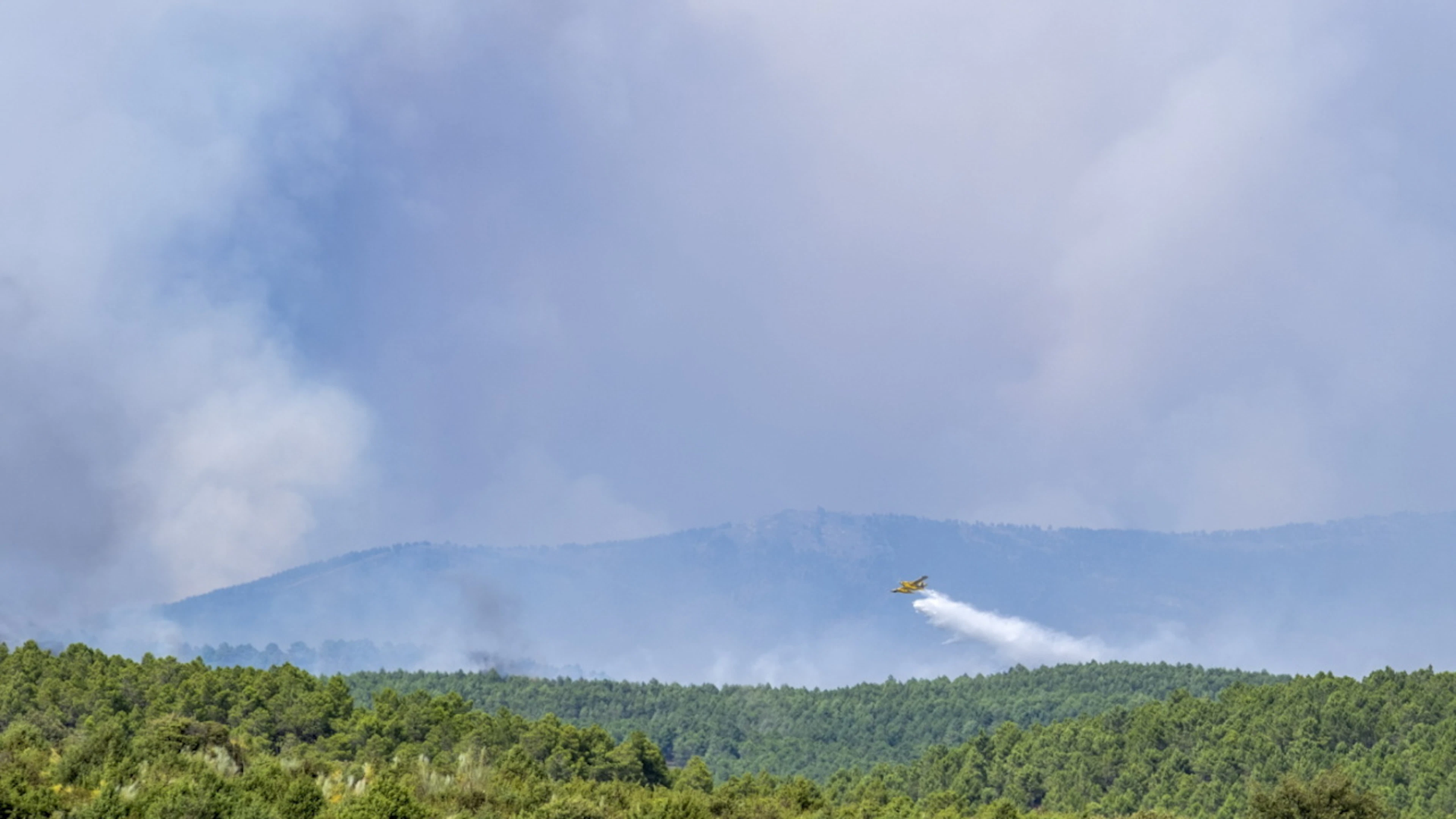 L'incendio boschivo sta devastando in particolare il Parco naturale della Sierra Norte.