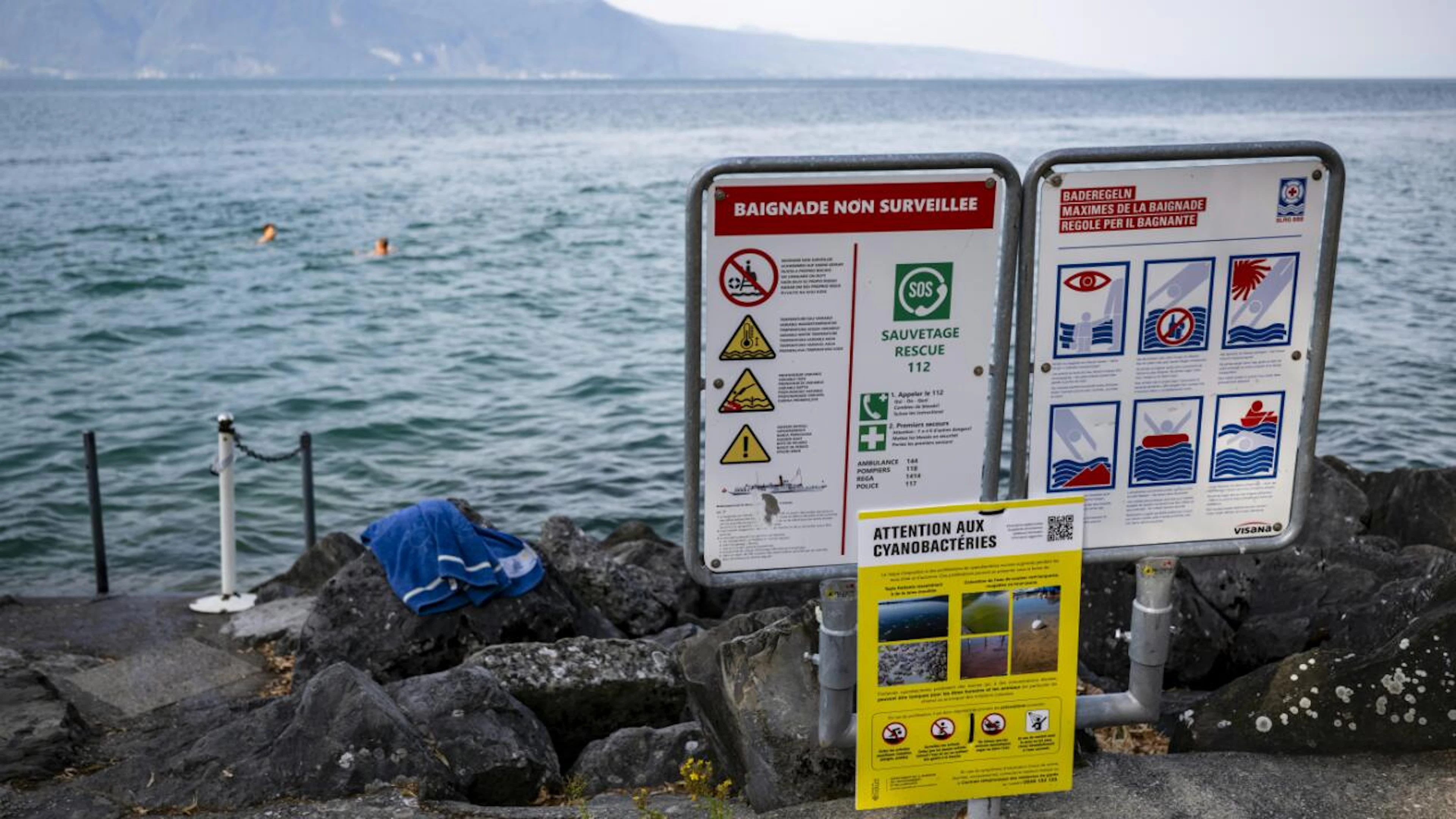 Pourquoi ne mesure-t-on pas les cyanobactéries dans le lac Léman?