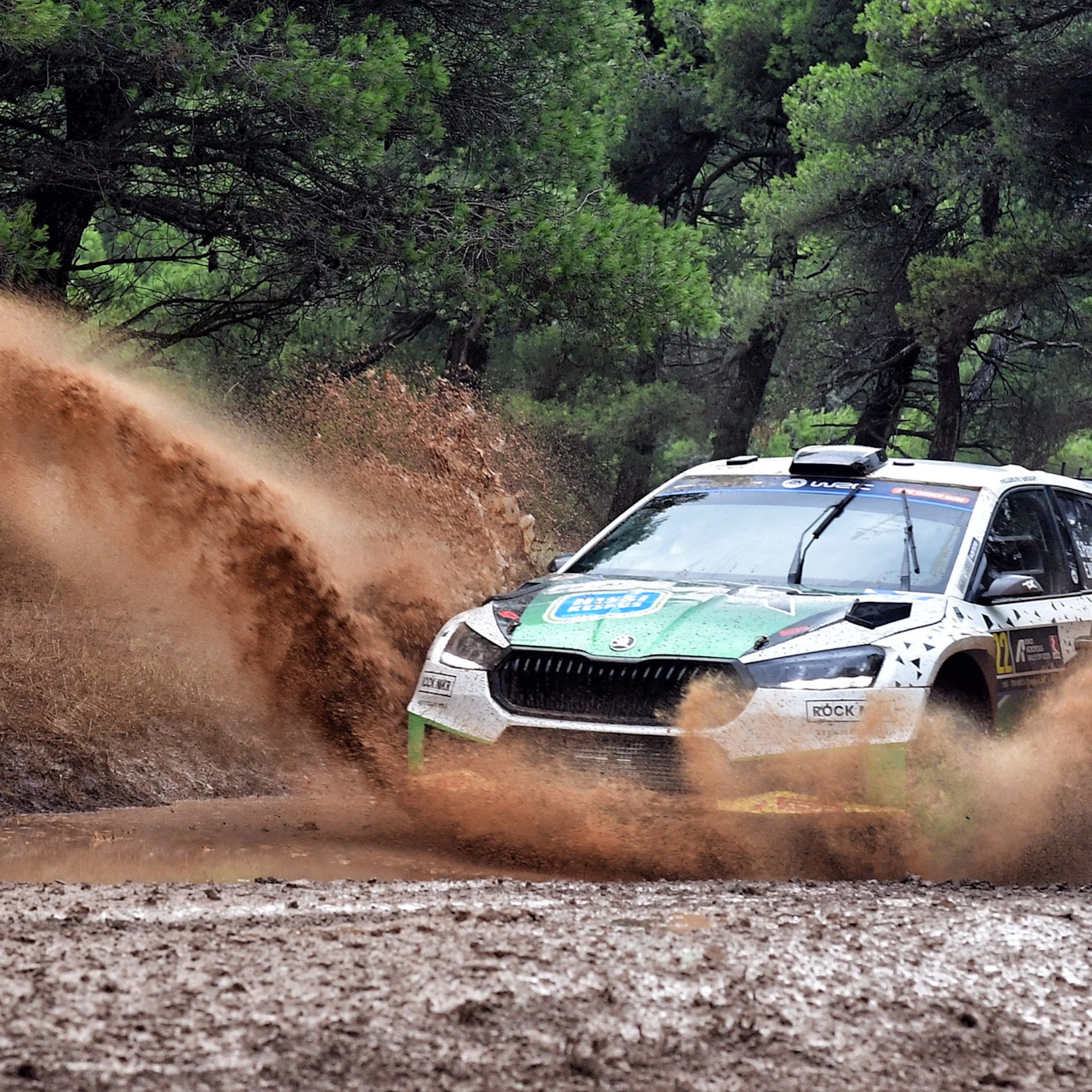 Rallye d'Estonie