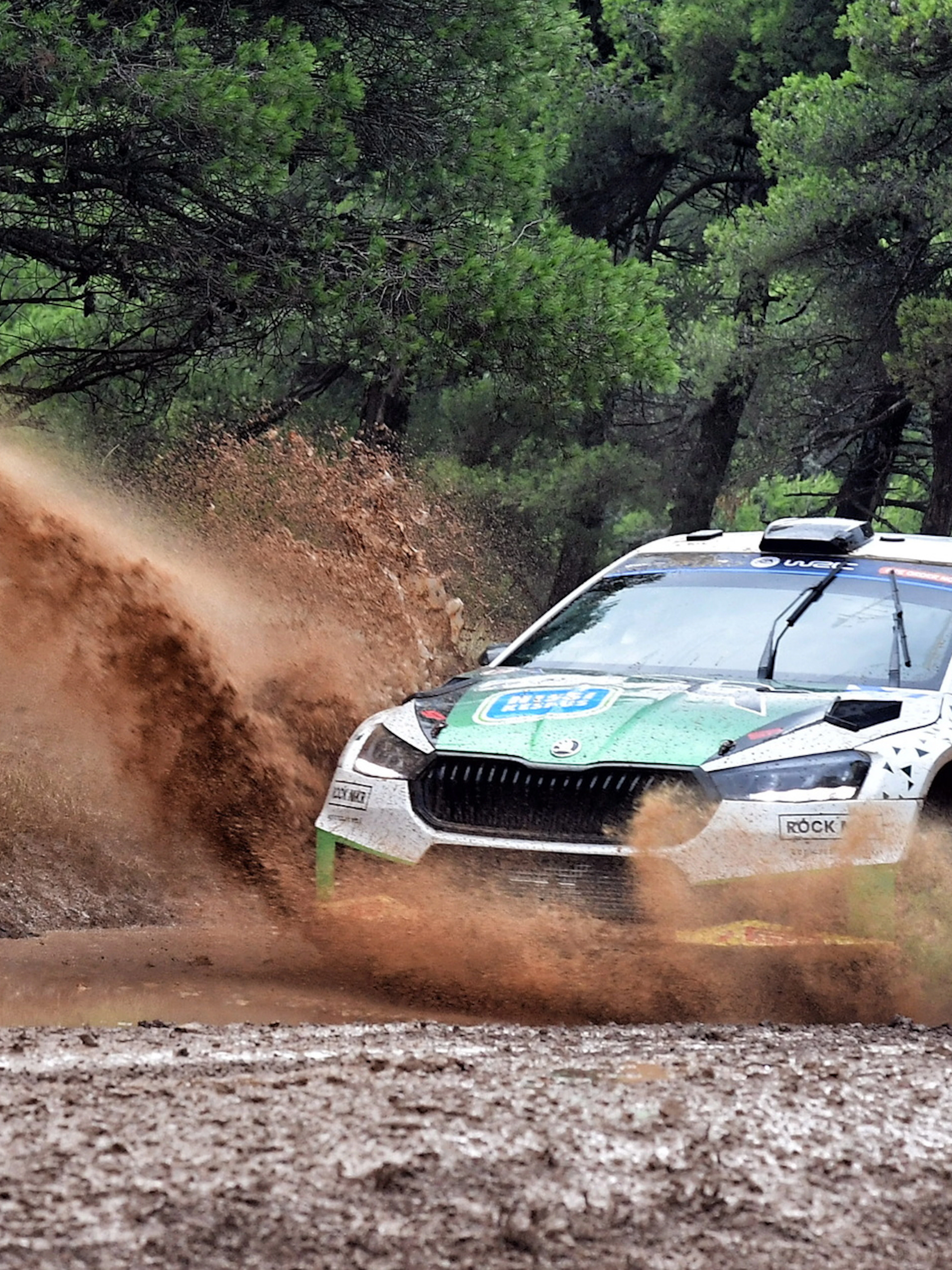 WRC : Sami Pajari domine, Elfyn Evans conforte son avance au championnat