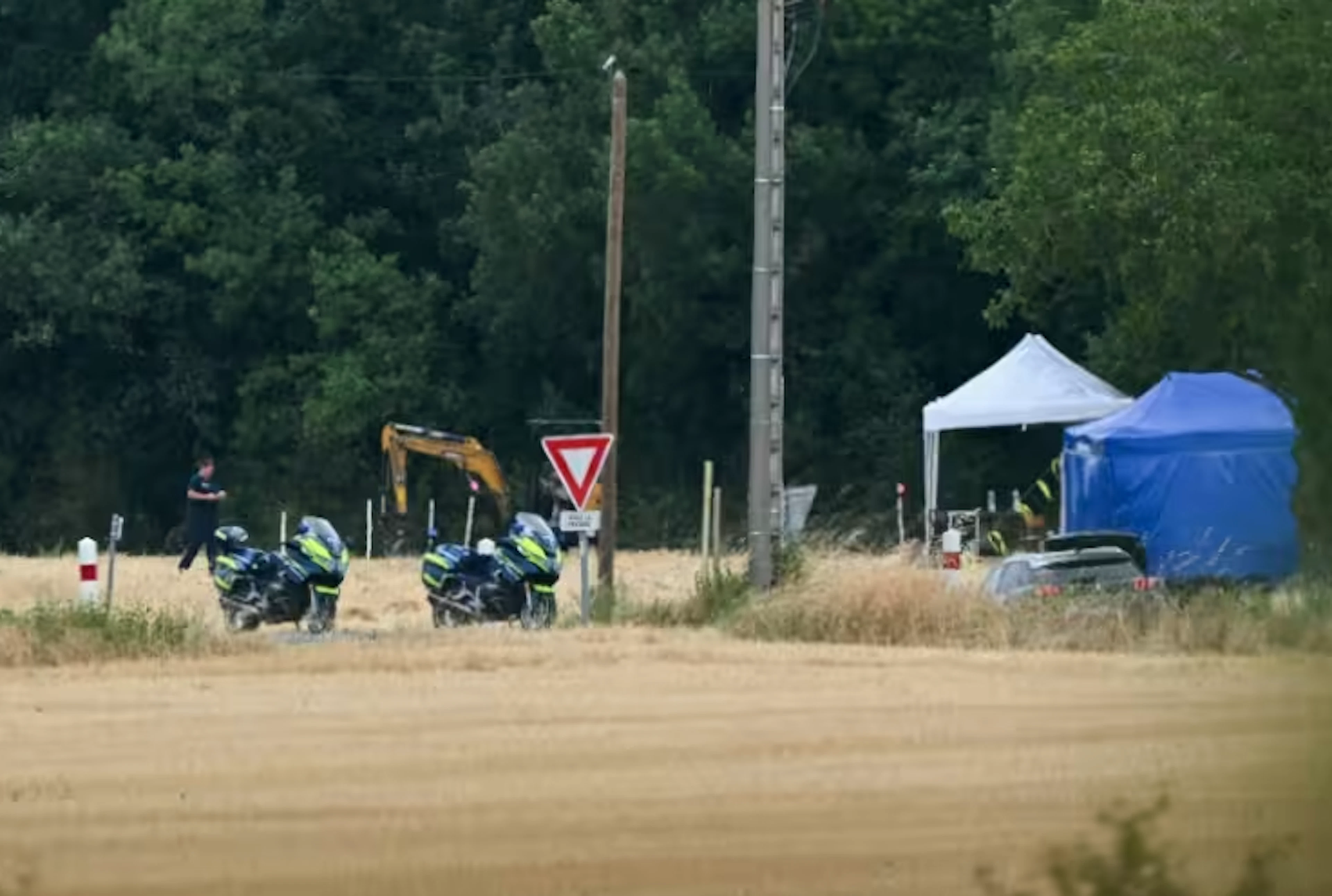 The bones were found in a field nearby.